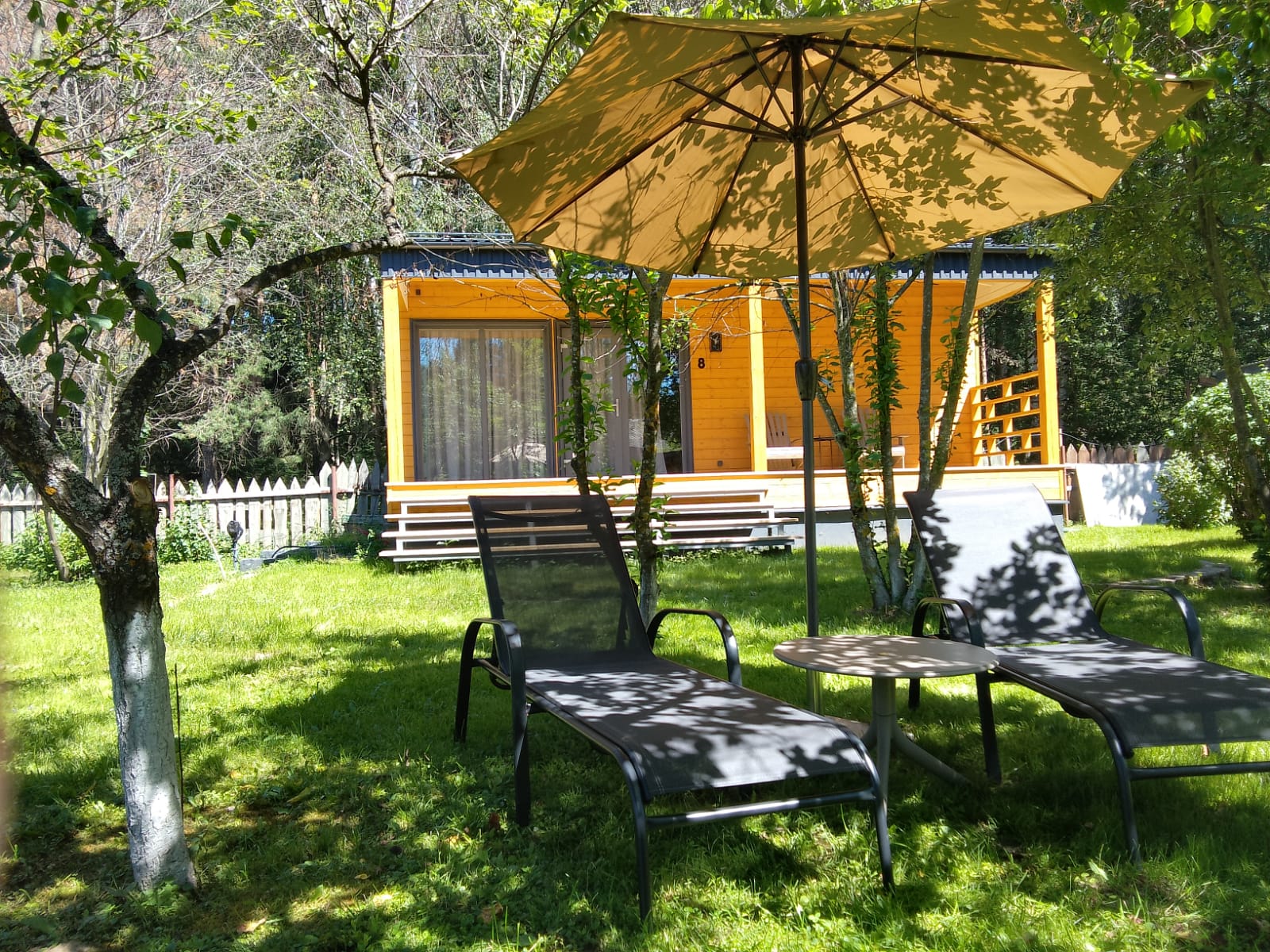 Фото Джао ДаЧа Завидово