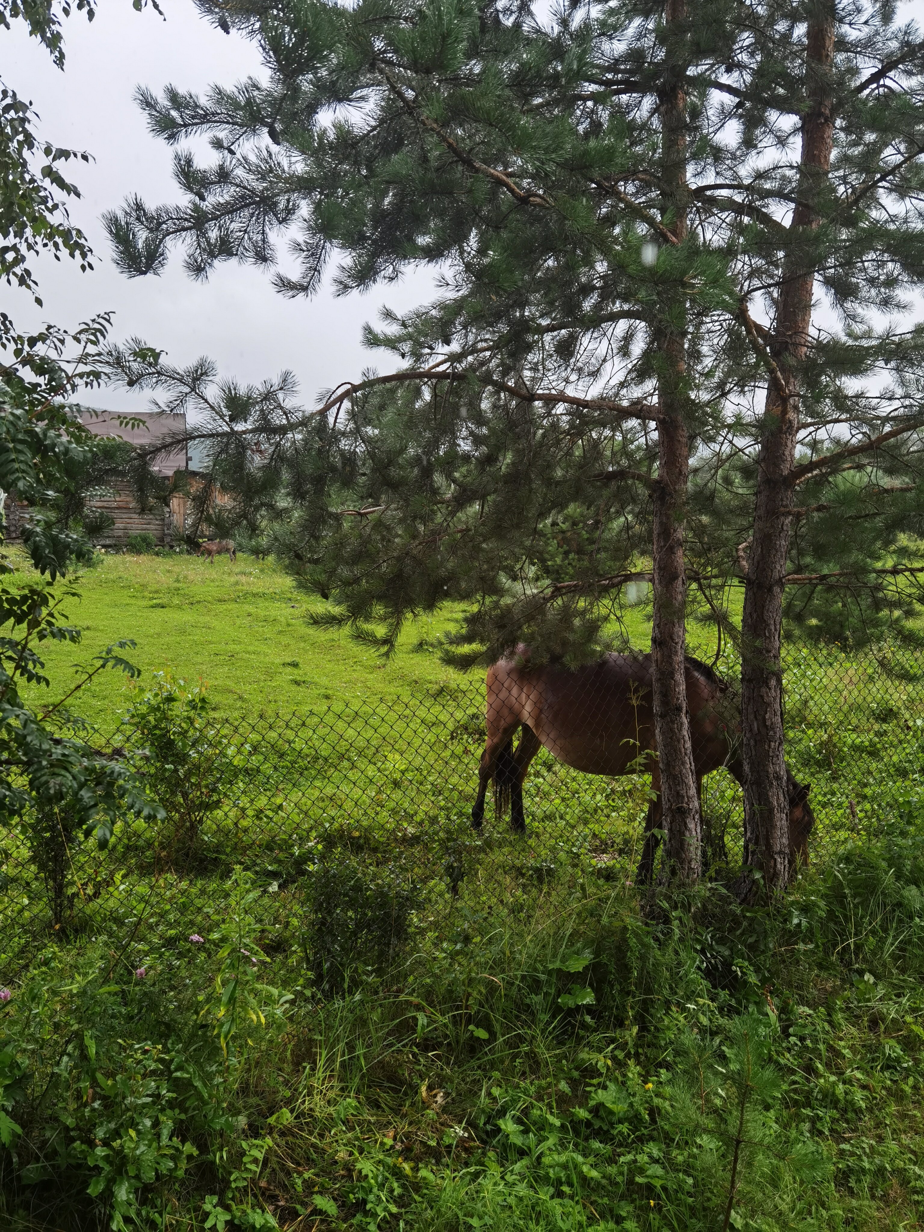 Фото Три вершины
