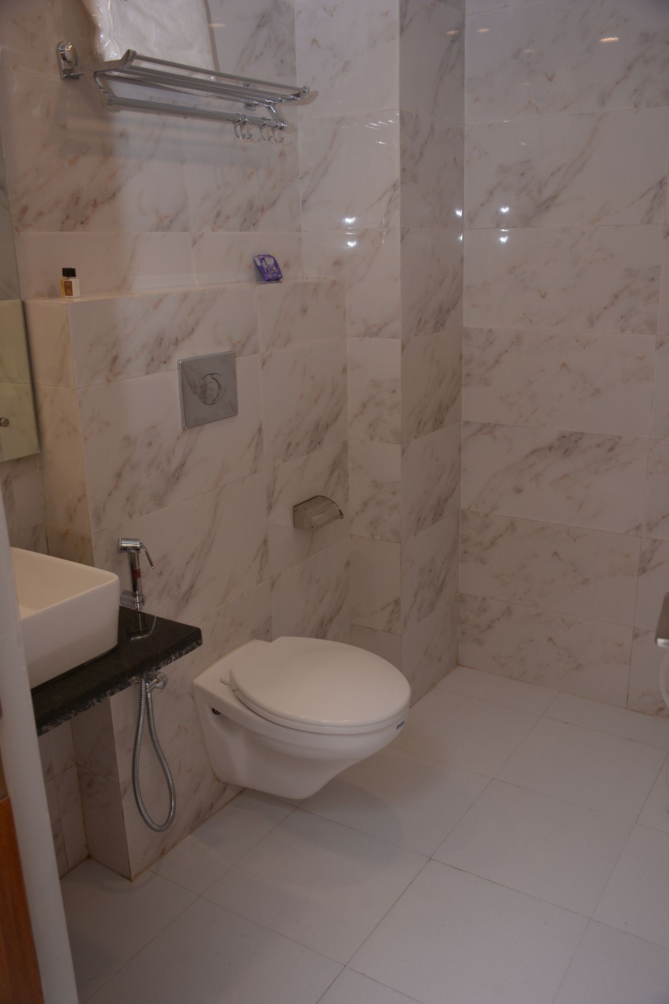 Фото Hotel Golden Oasis Delhi