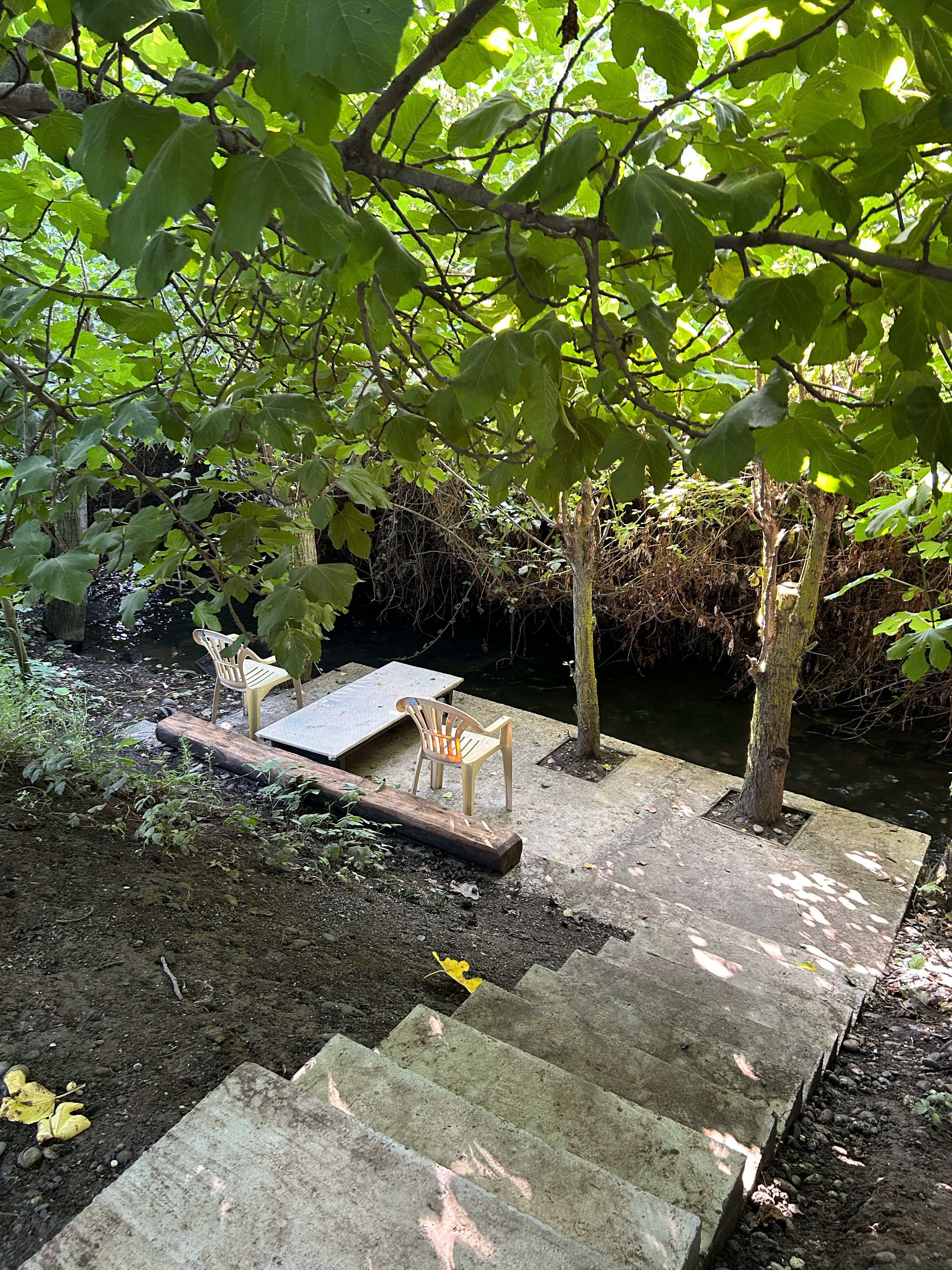 Фото Самурская Жемчужина