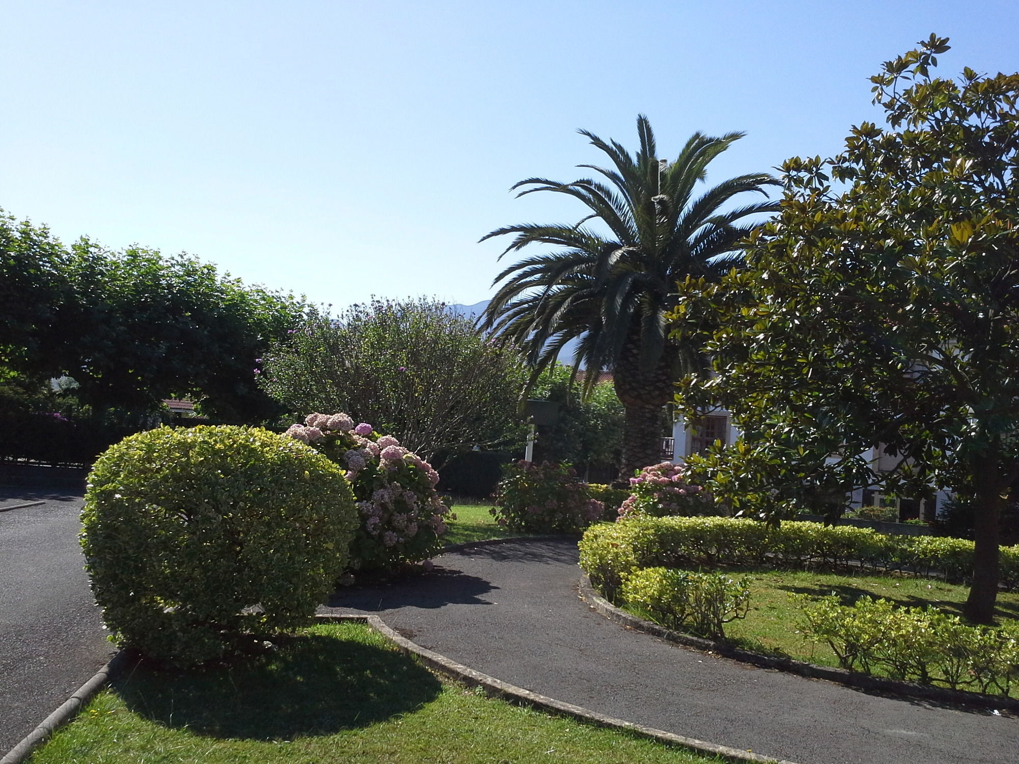 Фото Apartamentos San Pedro