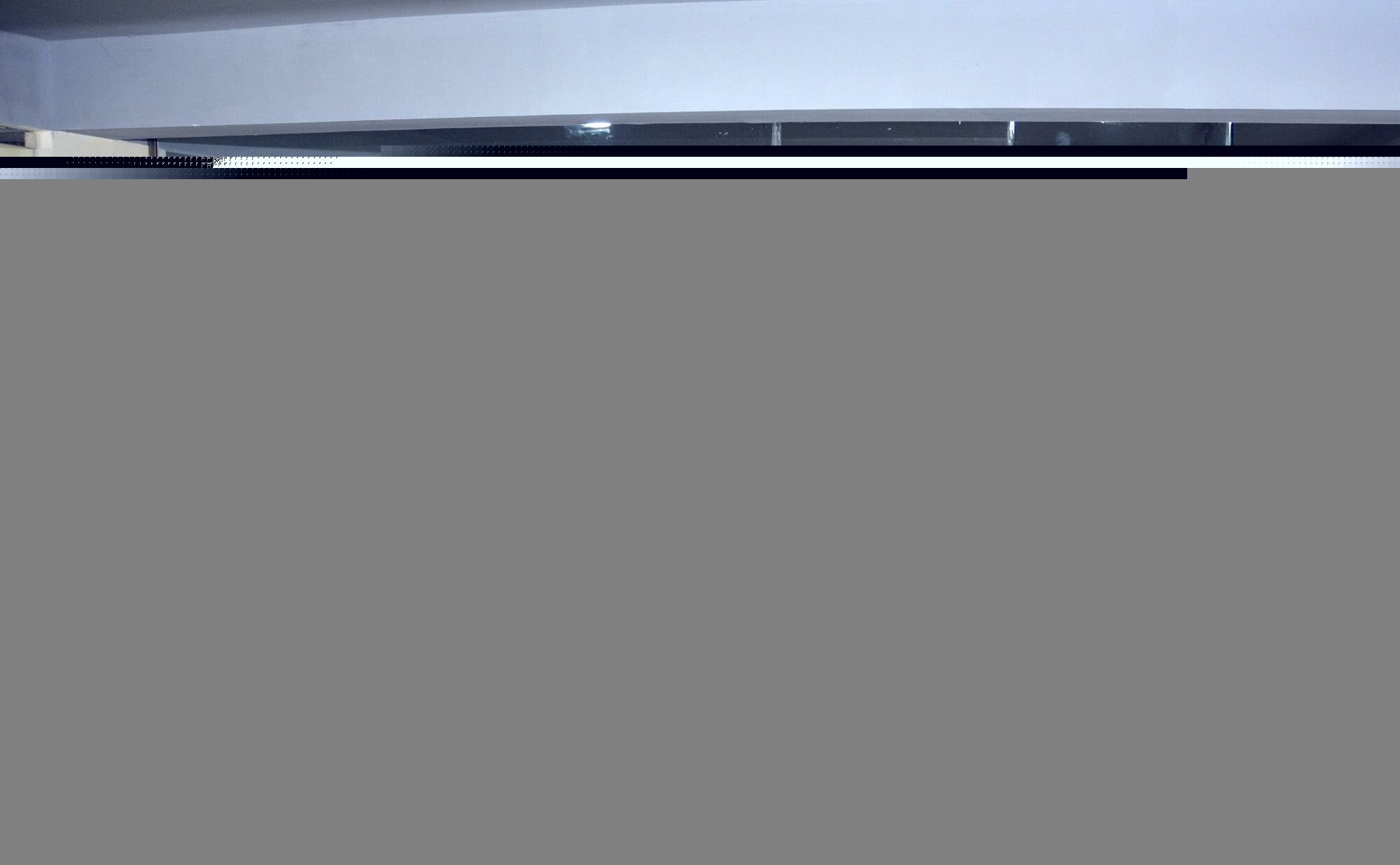 Фото Hotel Redison Blue Area