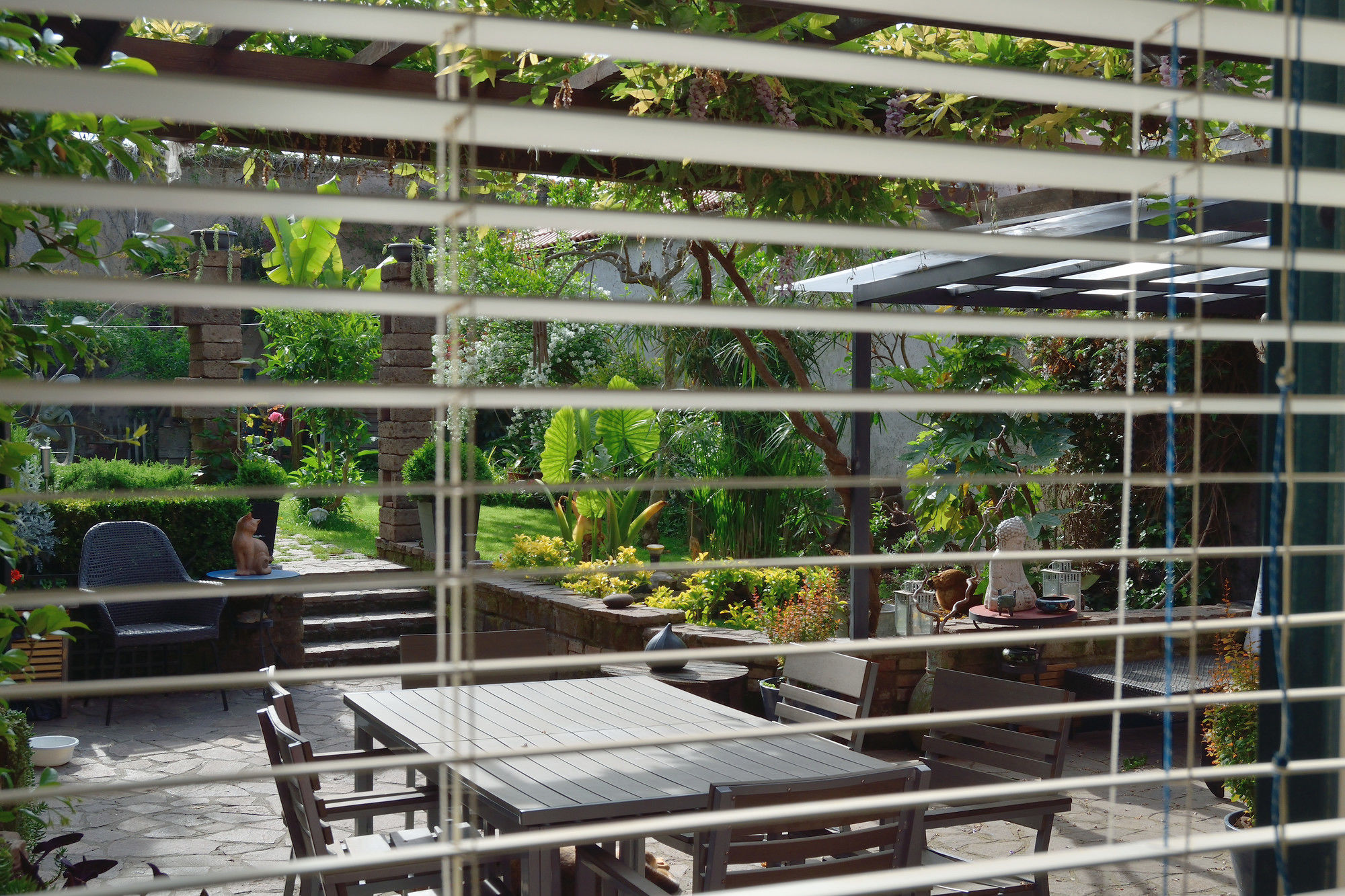 Фото Abbraccia Morfeo