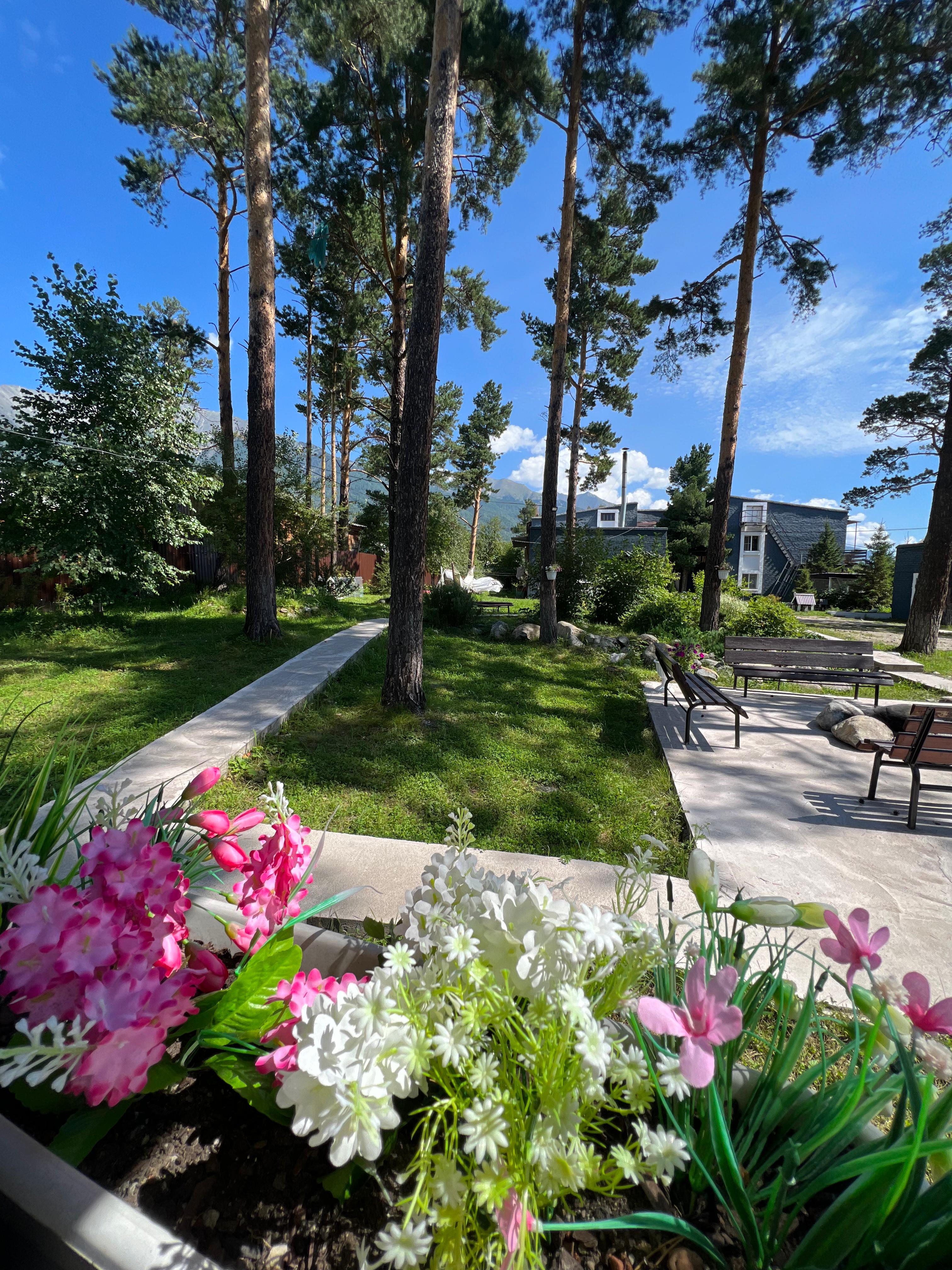 Фото Подснежник