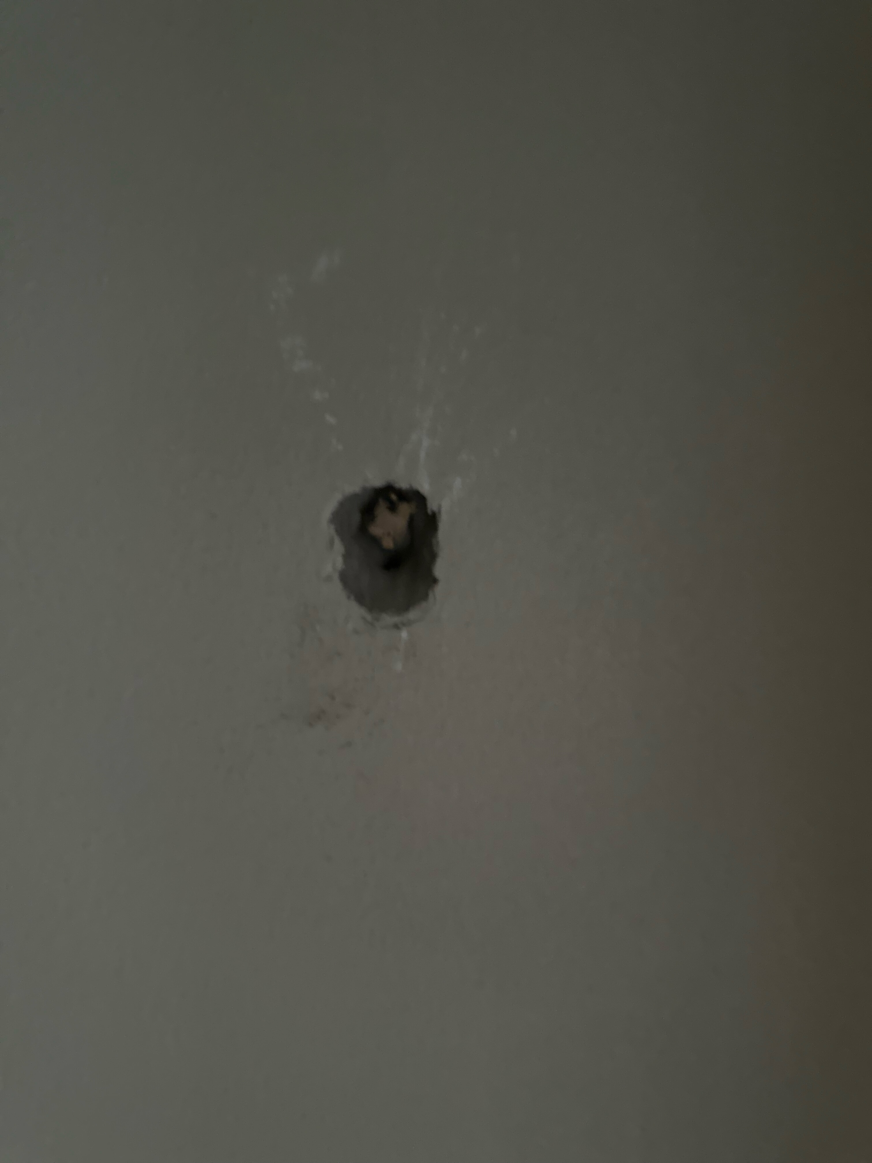 Фото Регион 01