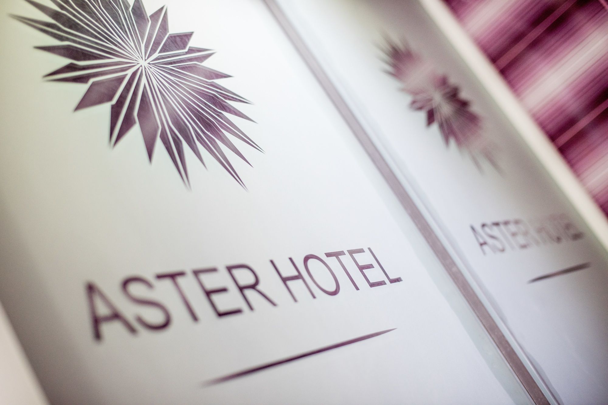 Фото Aster Hotel Group