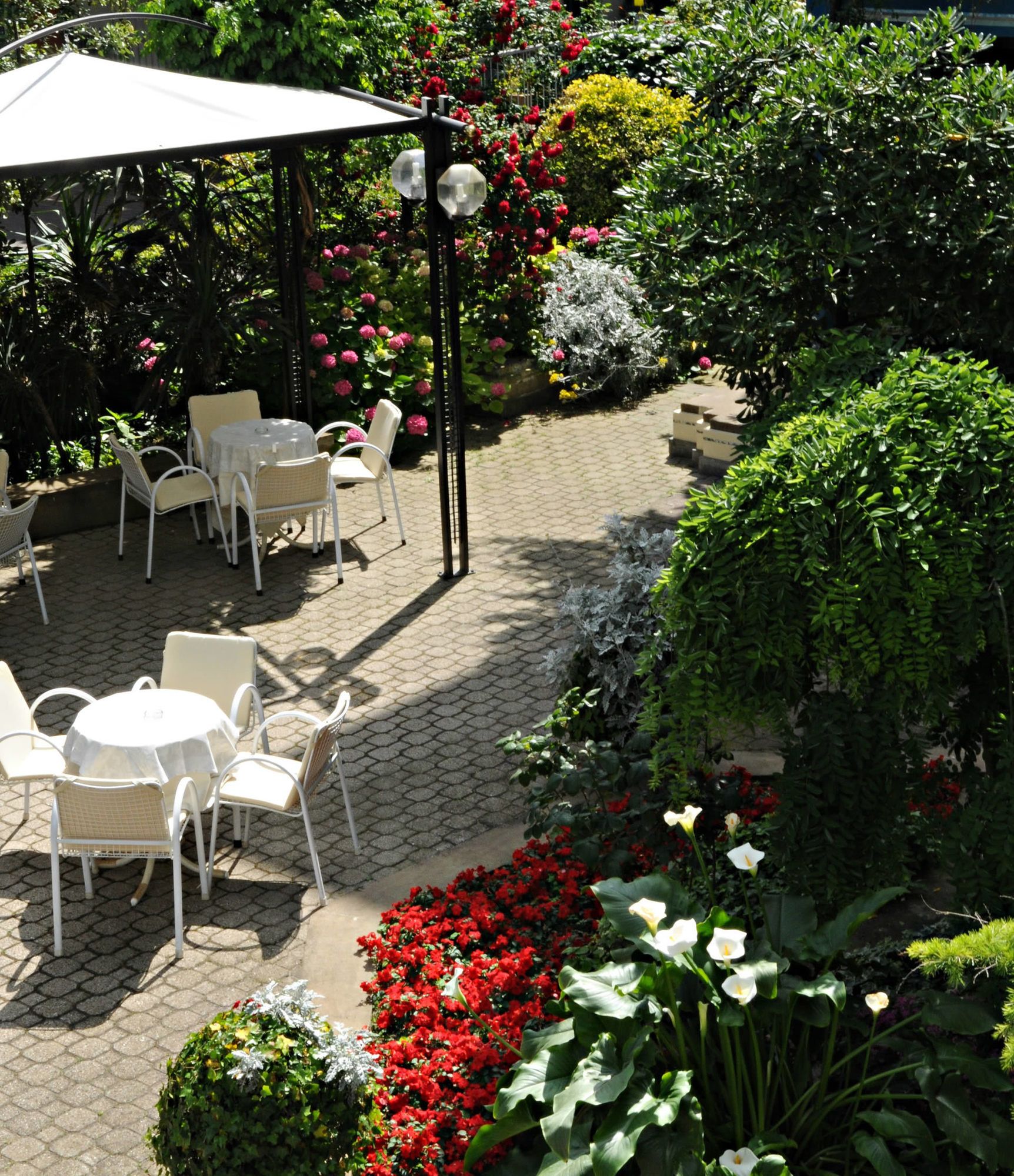 Фото Hotel Stella