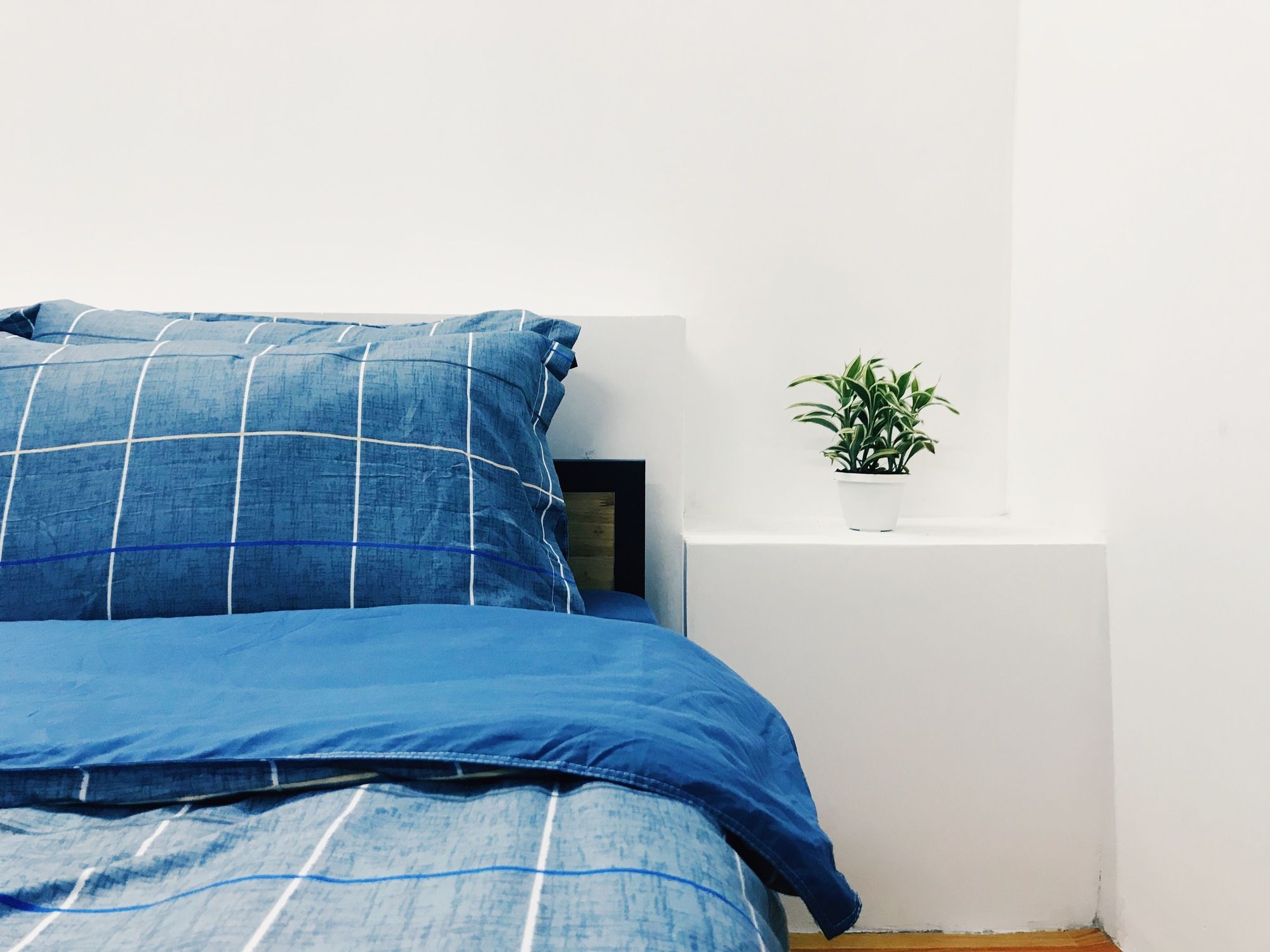 Фото Condodo Homestay