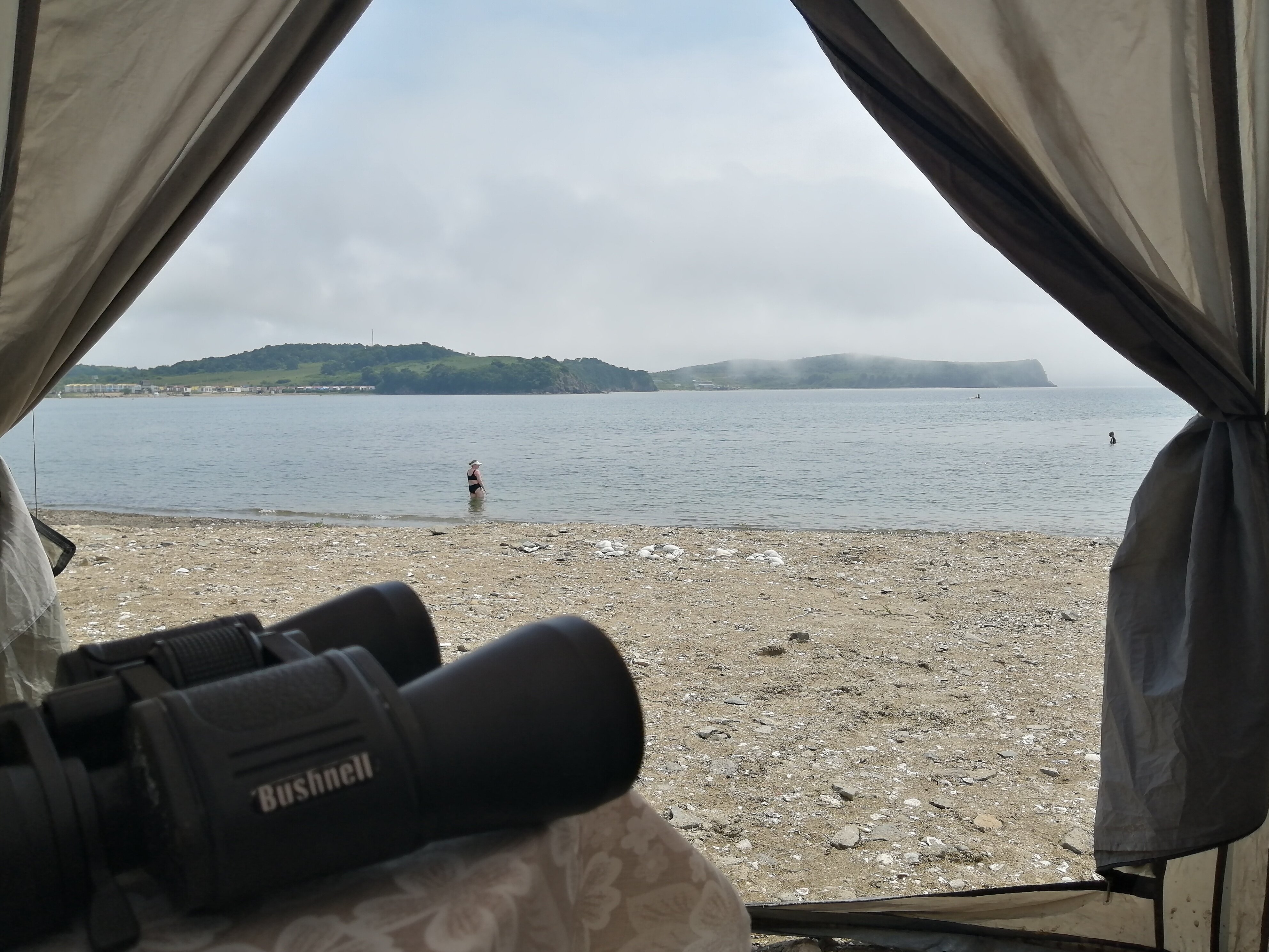 Фото Зелёная полянка