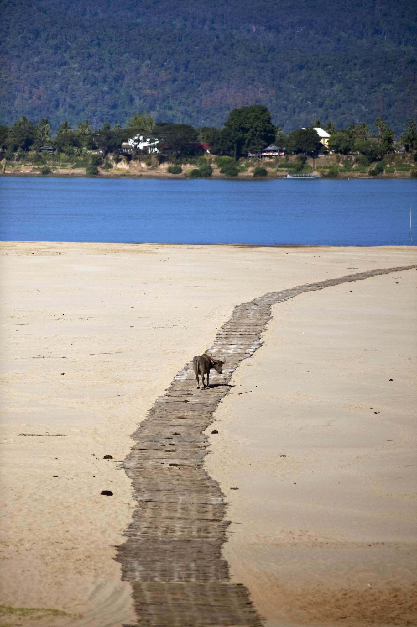 Фото La Folie Lodge