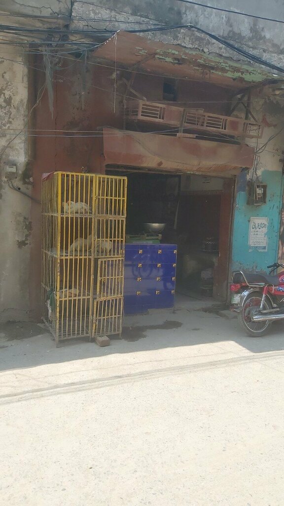 Egg and poultry meat Bismiallah Chicken, Lahore, photo