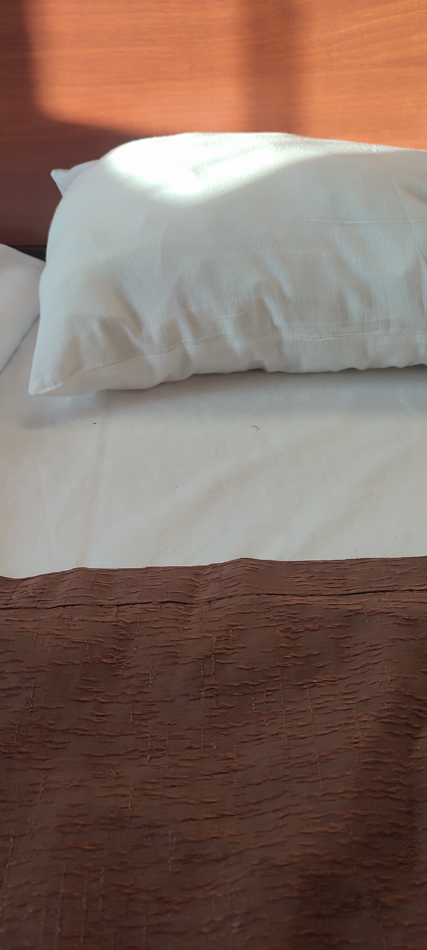 Фото Аврора