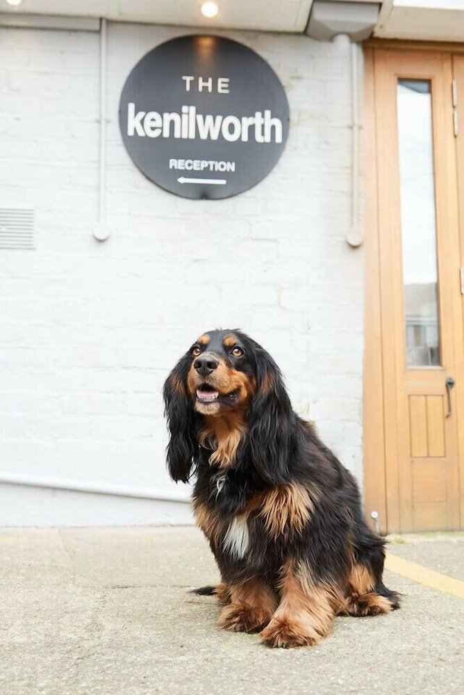 Фото The Kenilworth