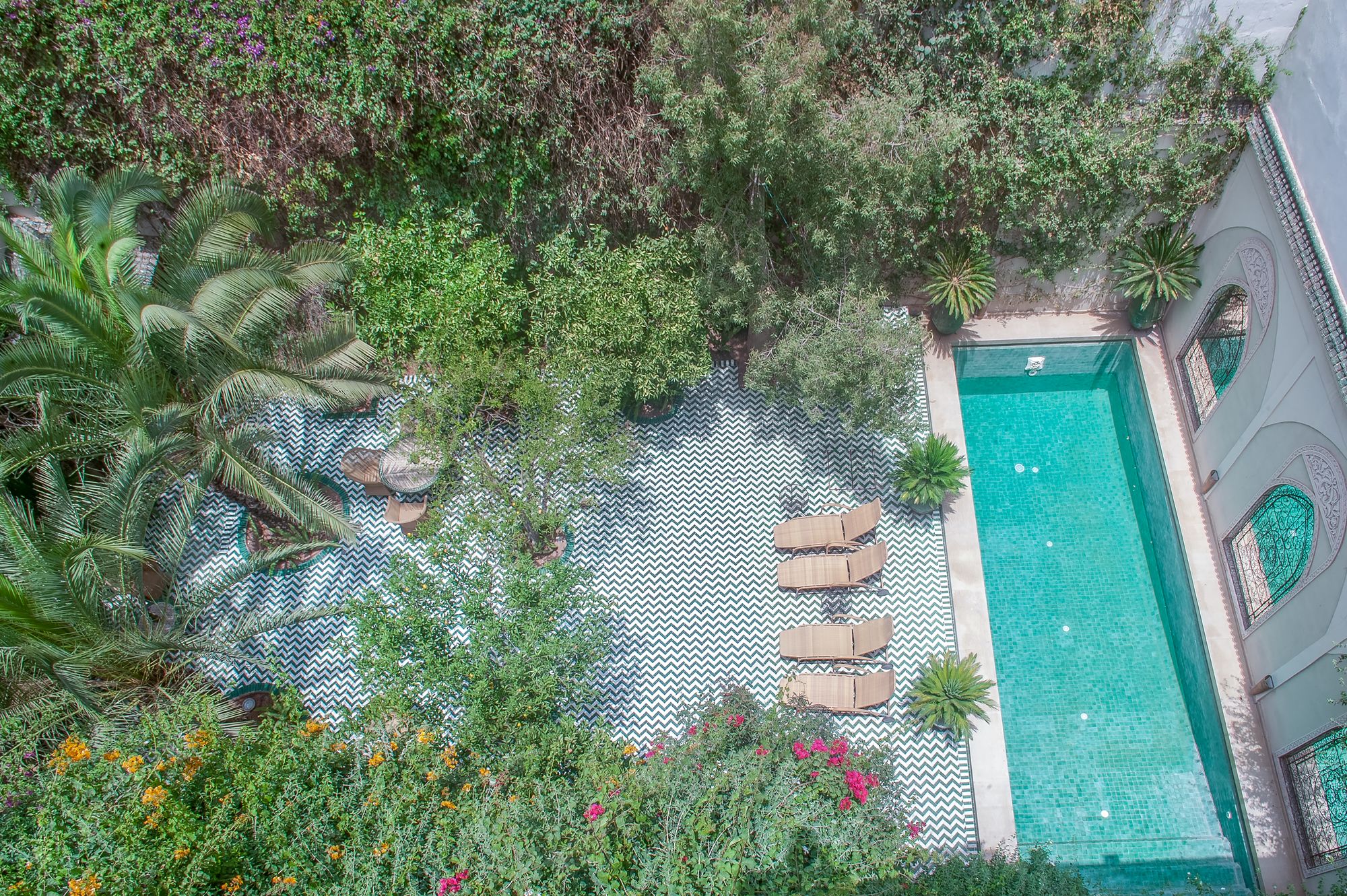 Фото Riad Laurence Olivier