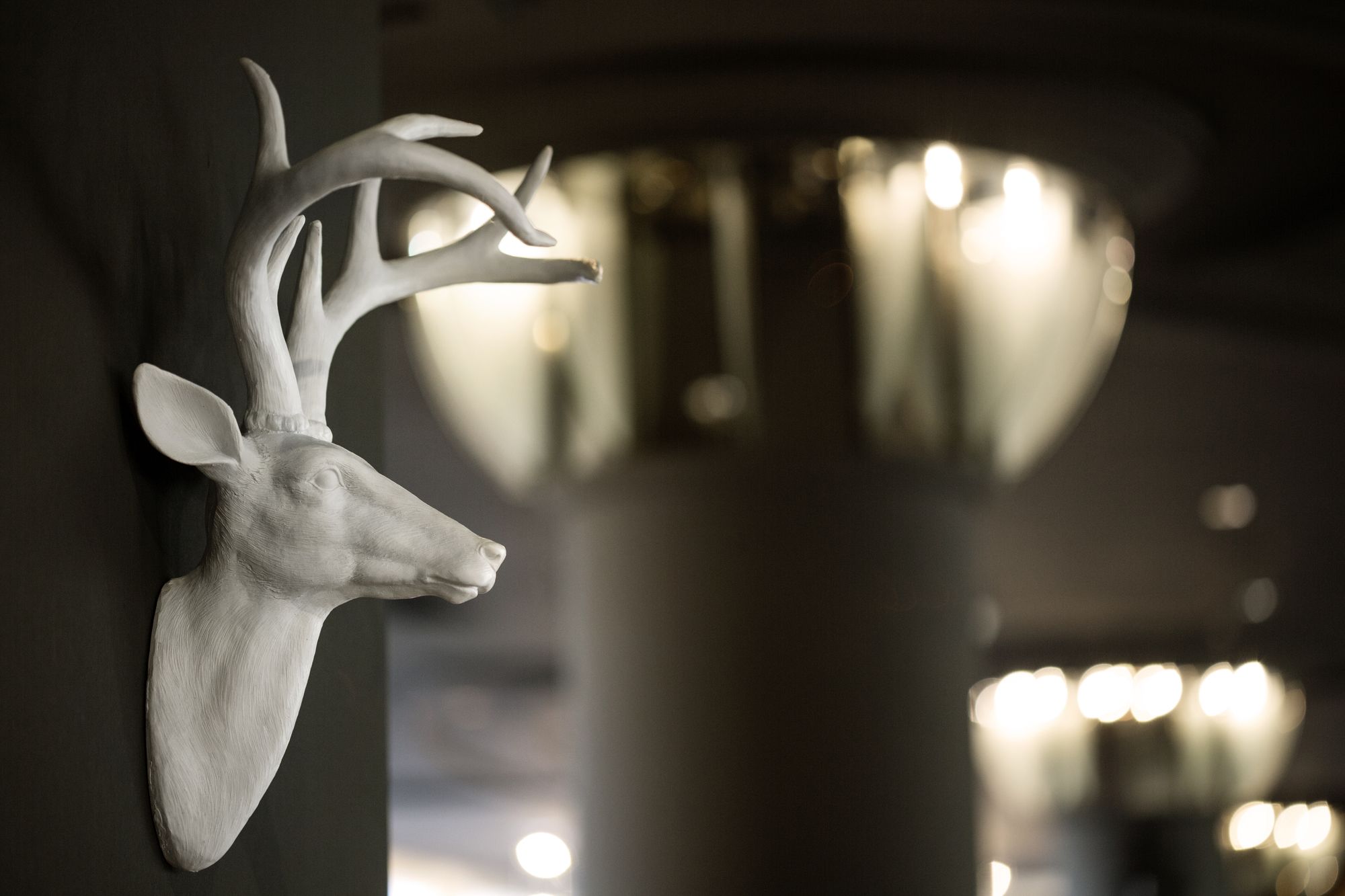 Фото Co56 Hotel Chemnitz