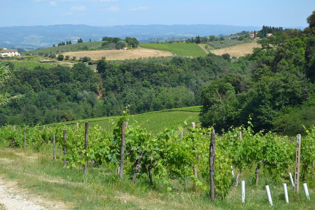 Фото Il Castagnolo