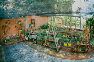 Гостиница Hotel Tierra Colorada