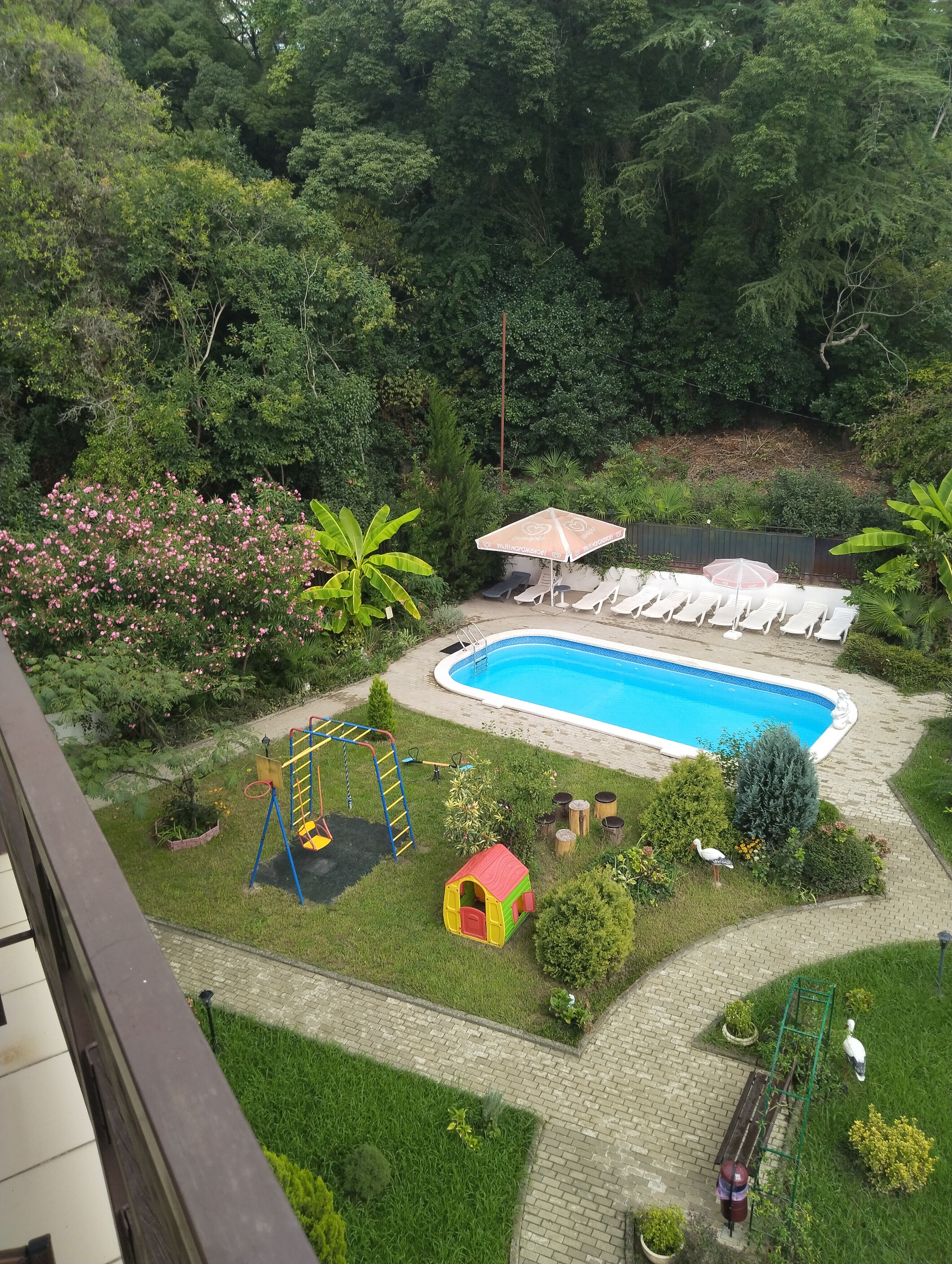 Фото Старая Хоста