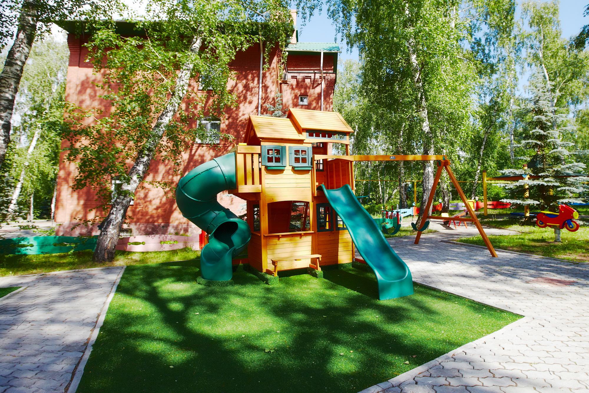 Фото Берёзка