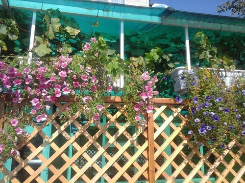 Внешний вид отеля Надежда в Абинске, фото 3