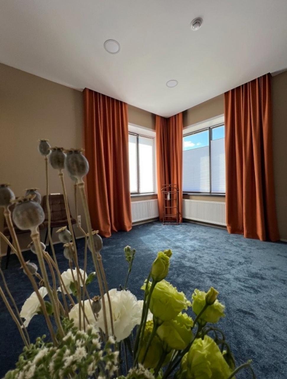 Фото Клевер