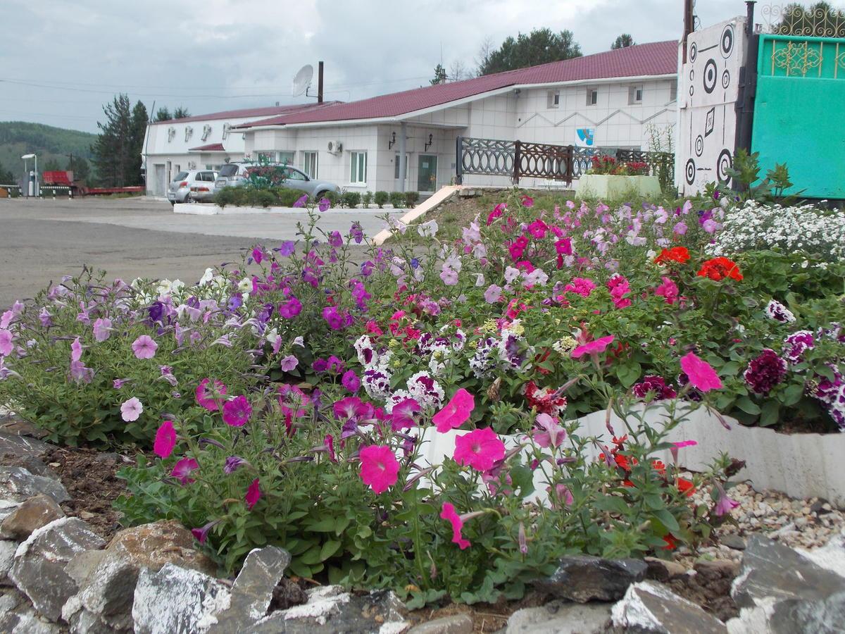 Фото Платина