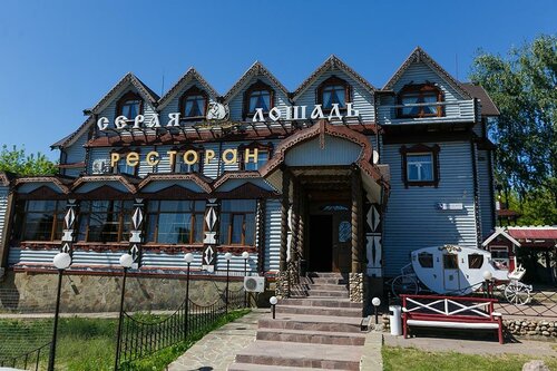  Серая лошадь в Юдино