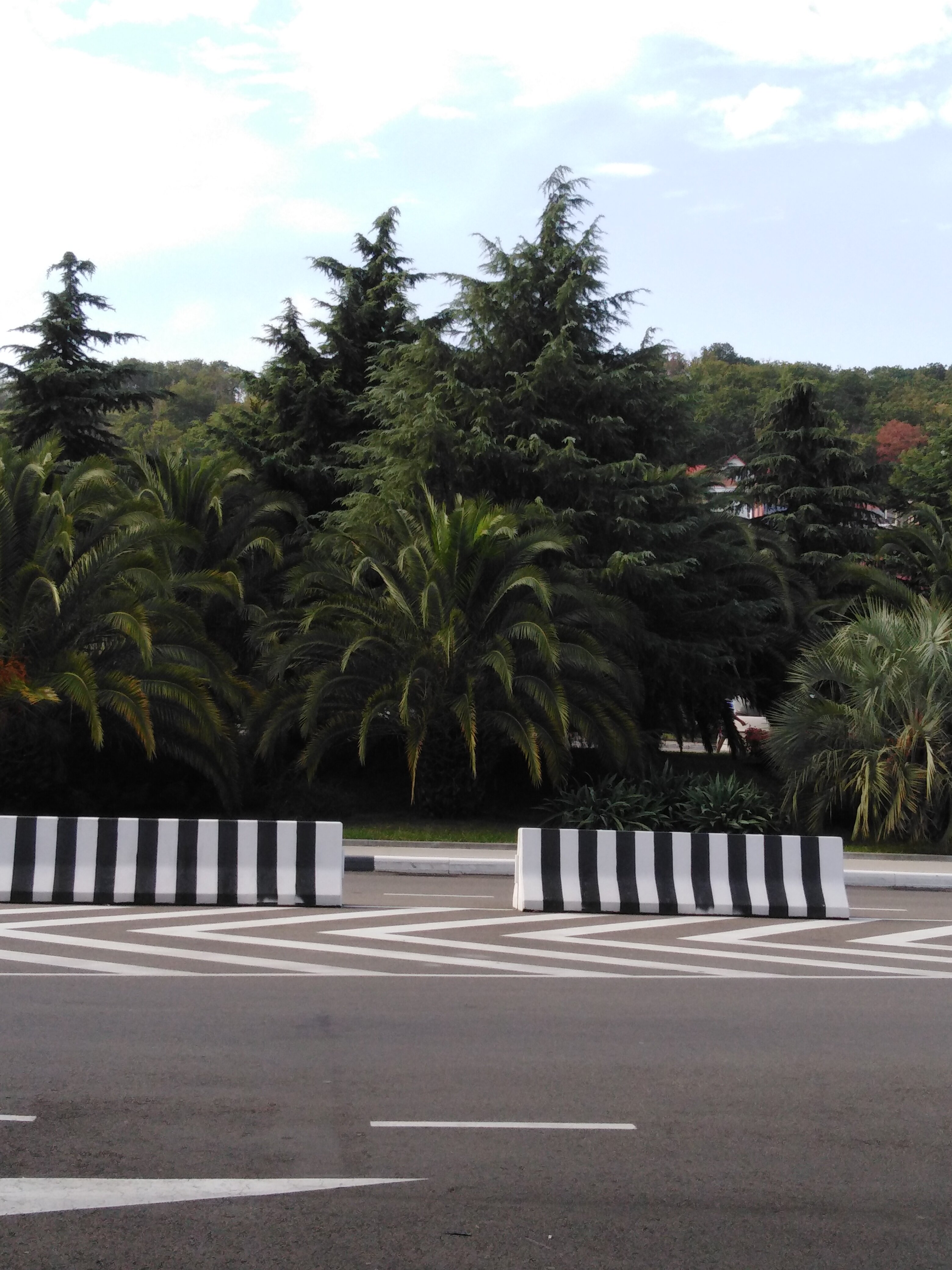 Фото Времена года