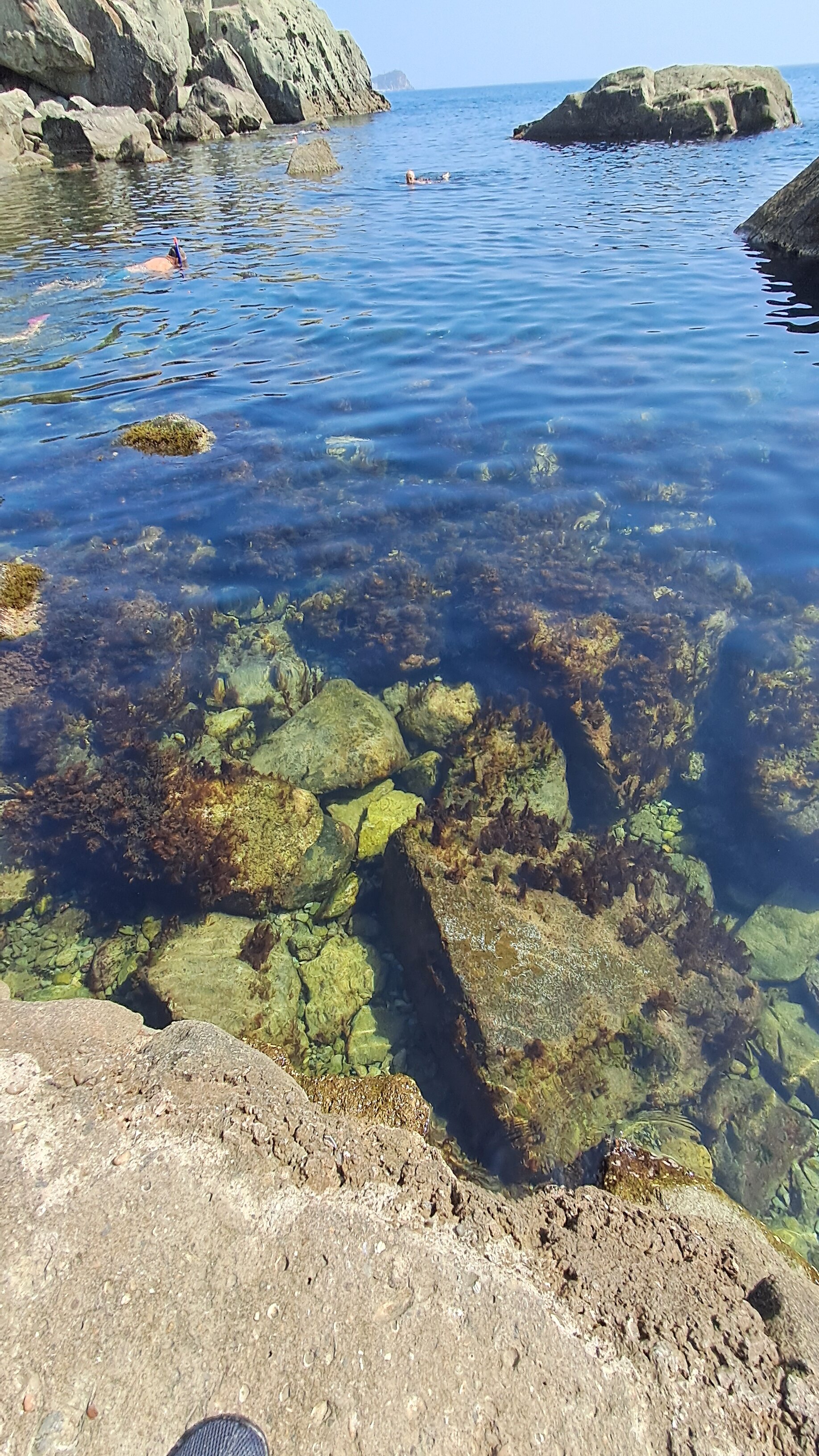 Фото ИП Ярмилко Оксана Романовна