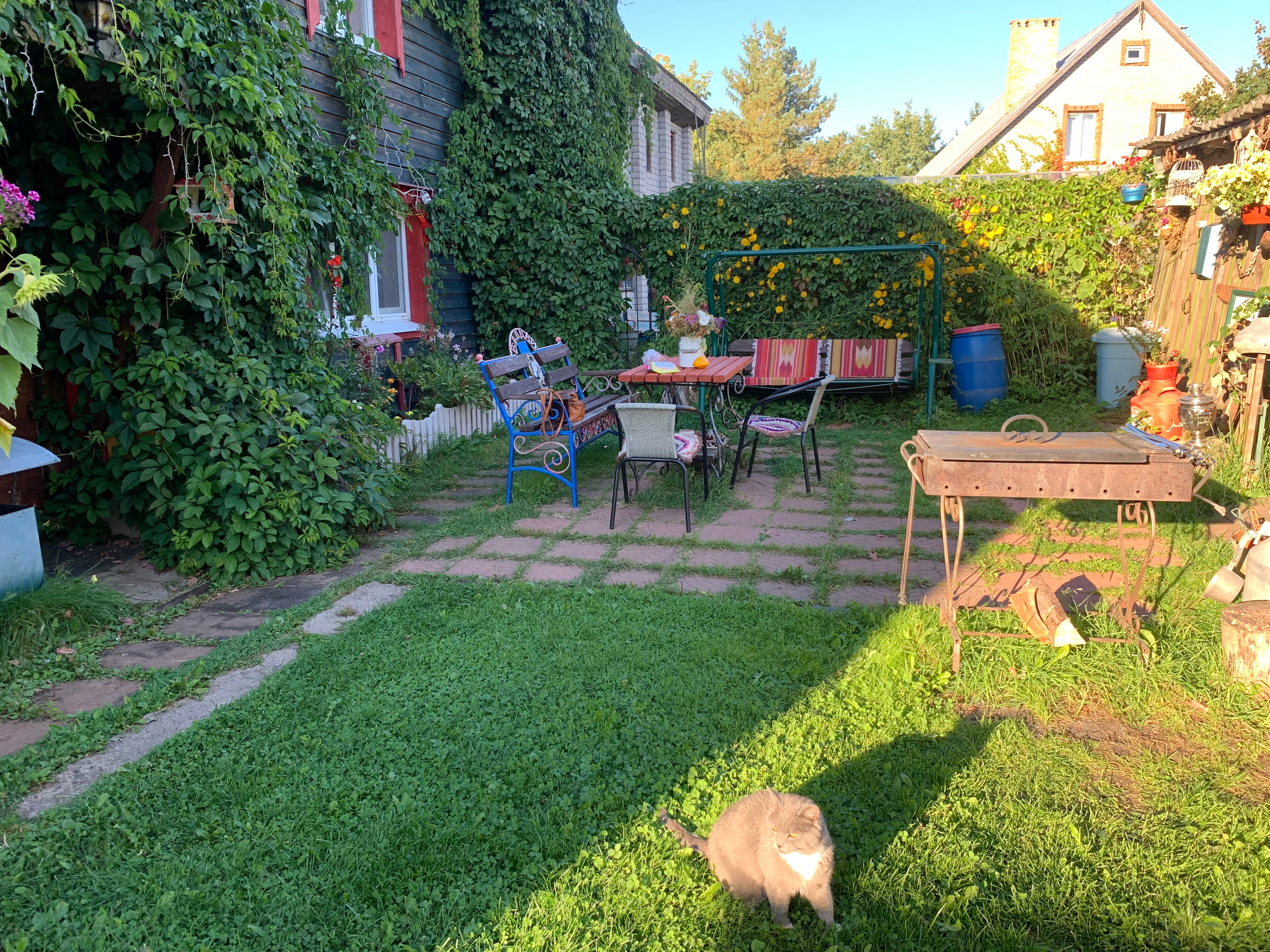 Фото Лосиный тупичок