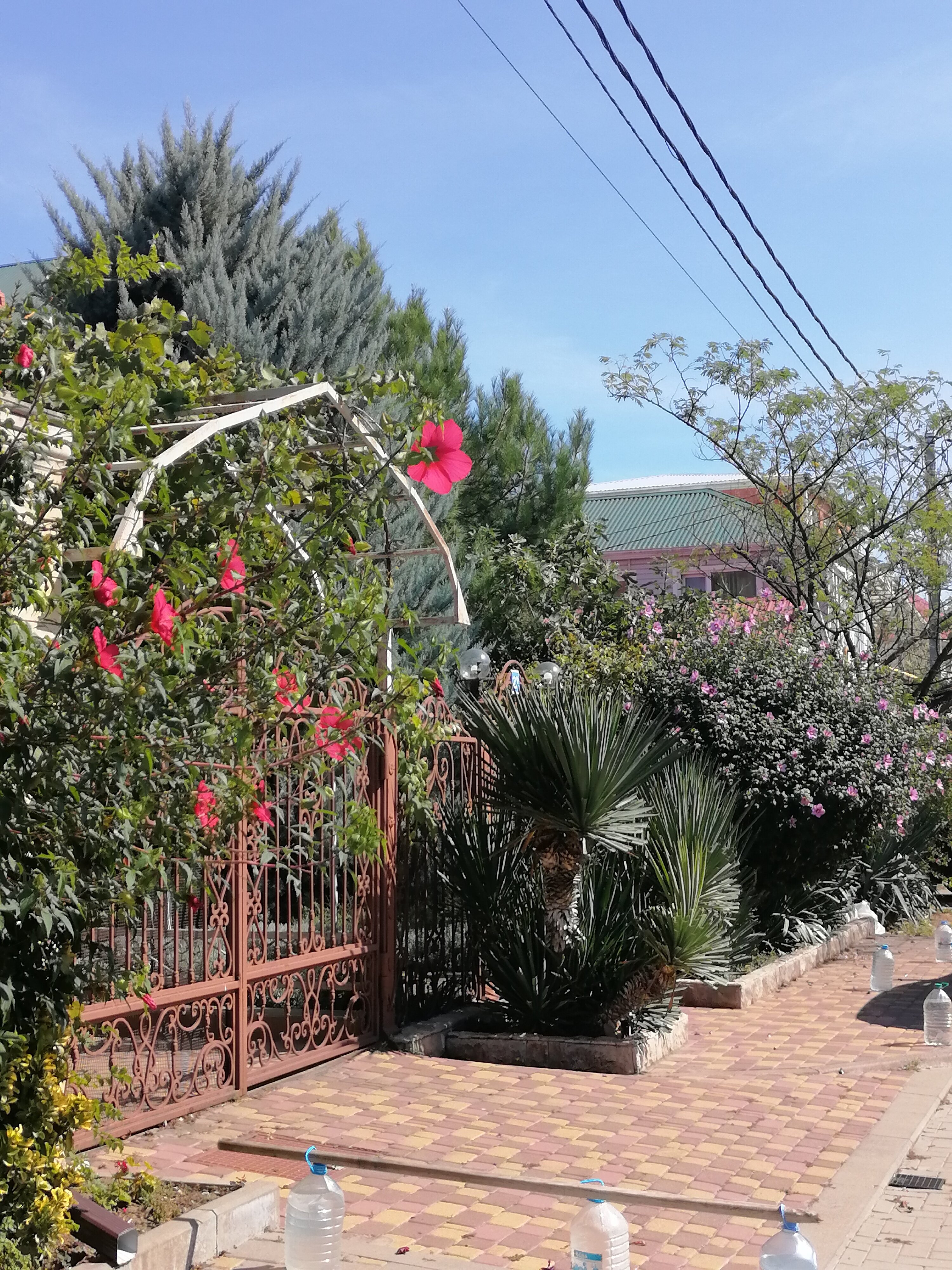 Фото Изумруд