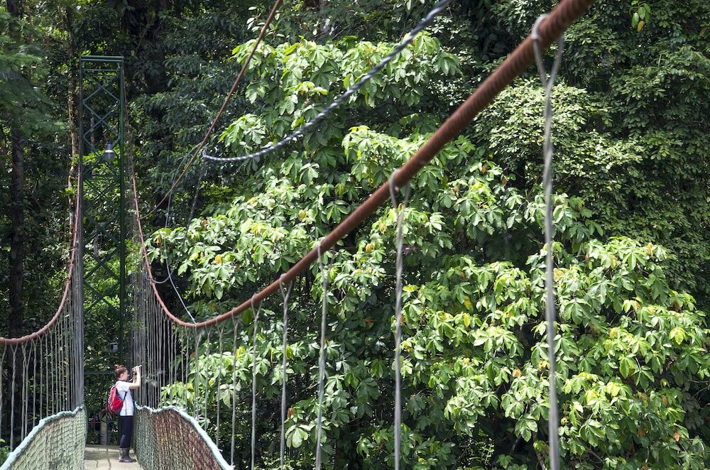 Фото Selva Verde Lodge