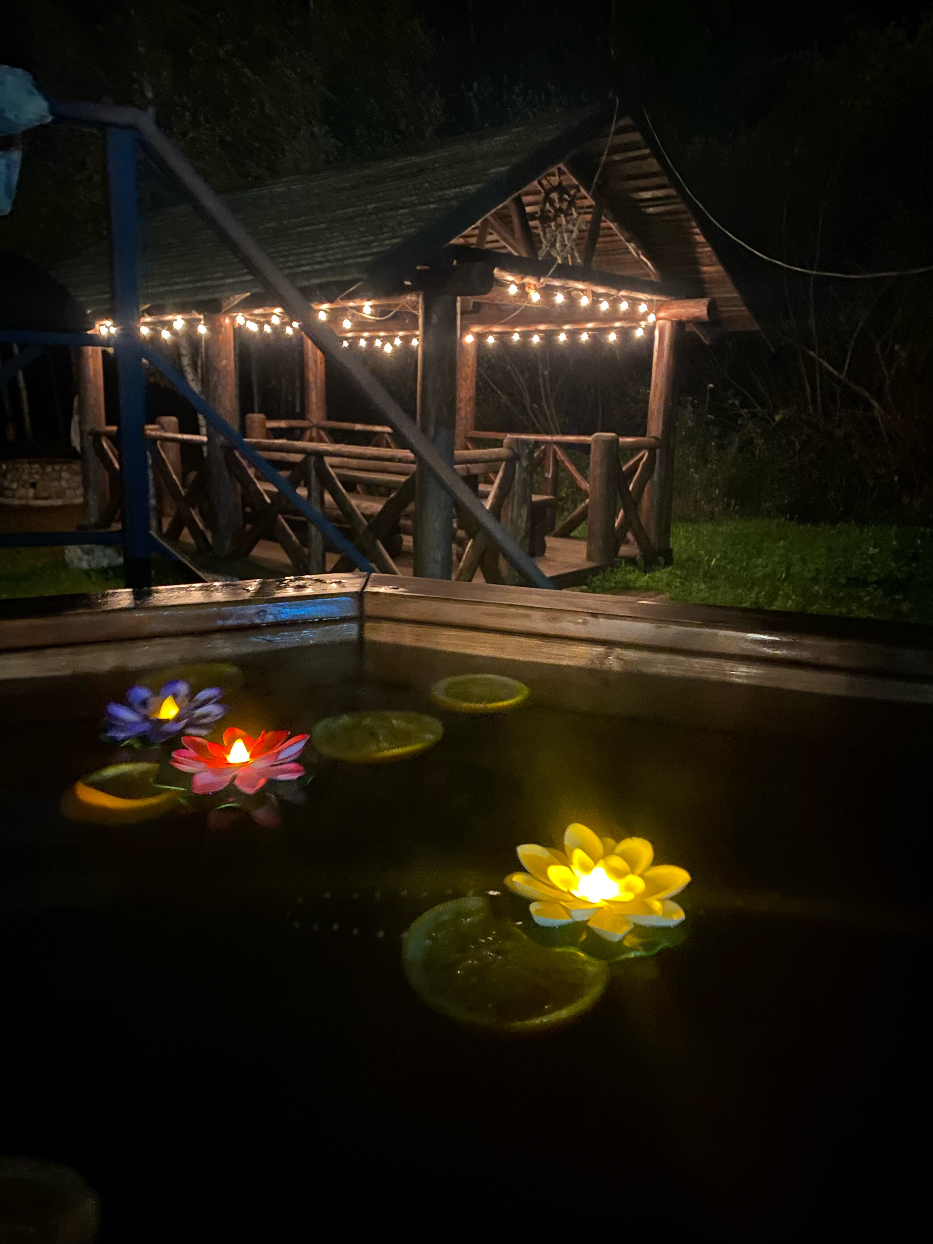 Фото Дом у пруда