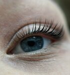 Di. BrowLashes (Fedoskinskaya Street, 12с1) ، شريط حاجب العين