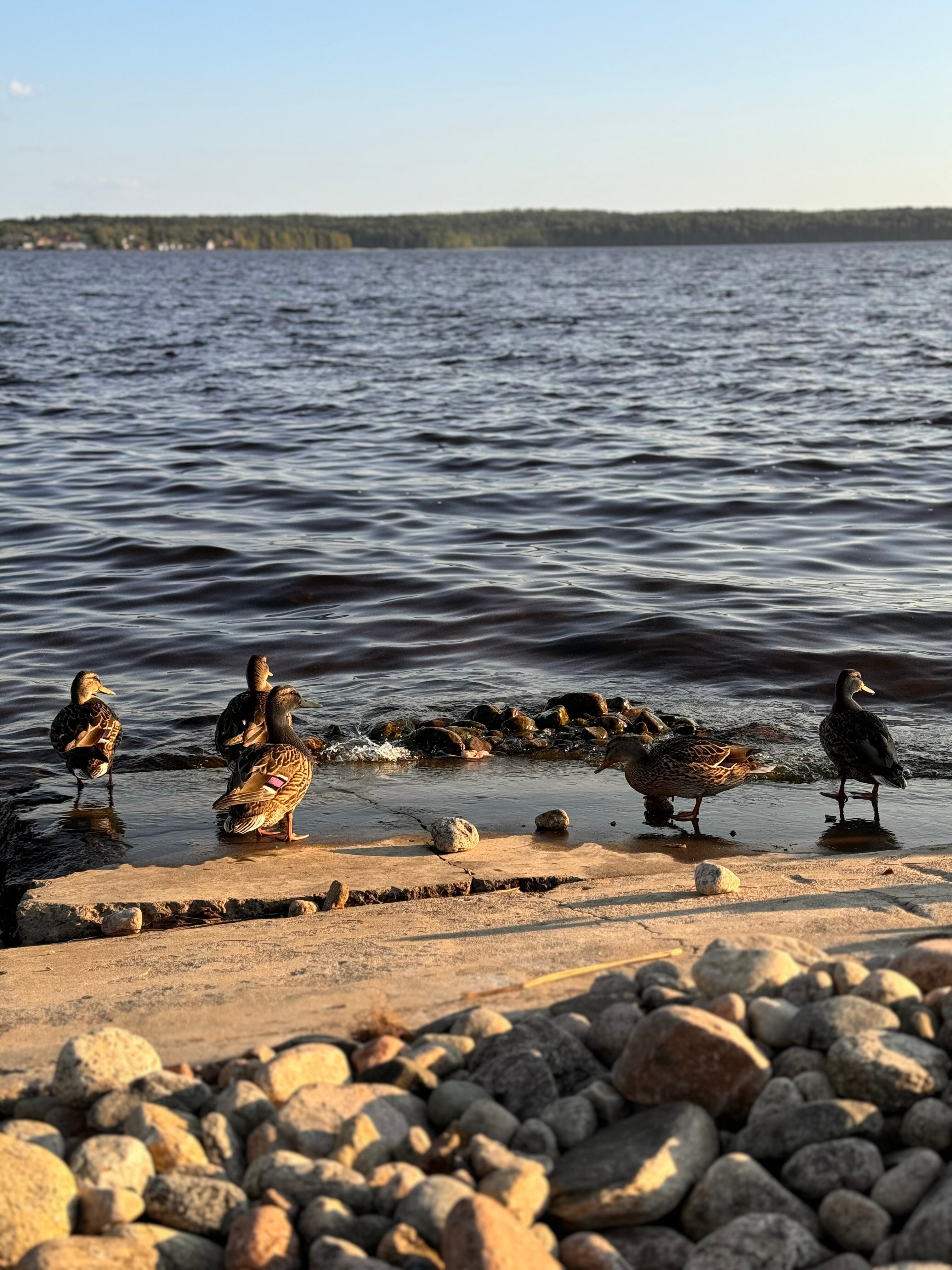 Фото Севера