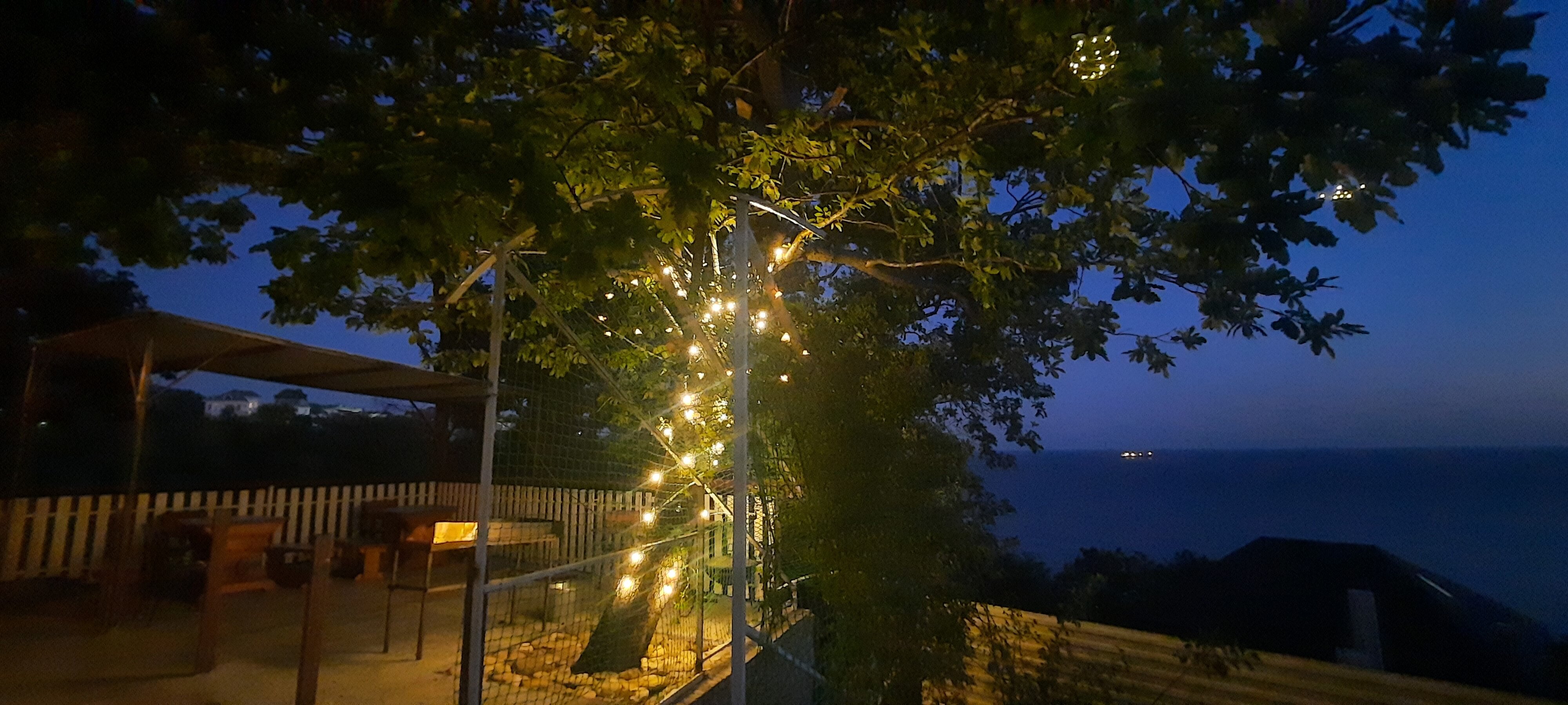 Фото Дубовая Роща