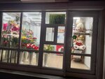 Floral Note (Klary Tsetkin Street, 44А) ، محل زهور