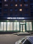 Tsvety bez povoda (Lenina Street, 74), flower shop