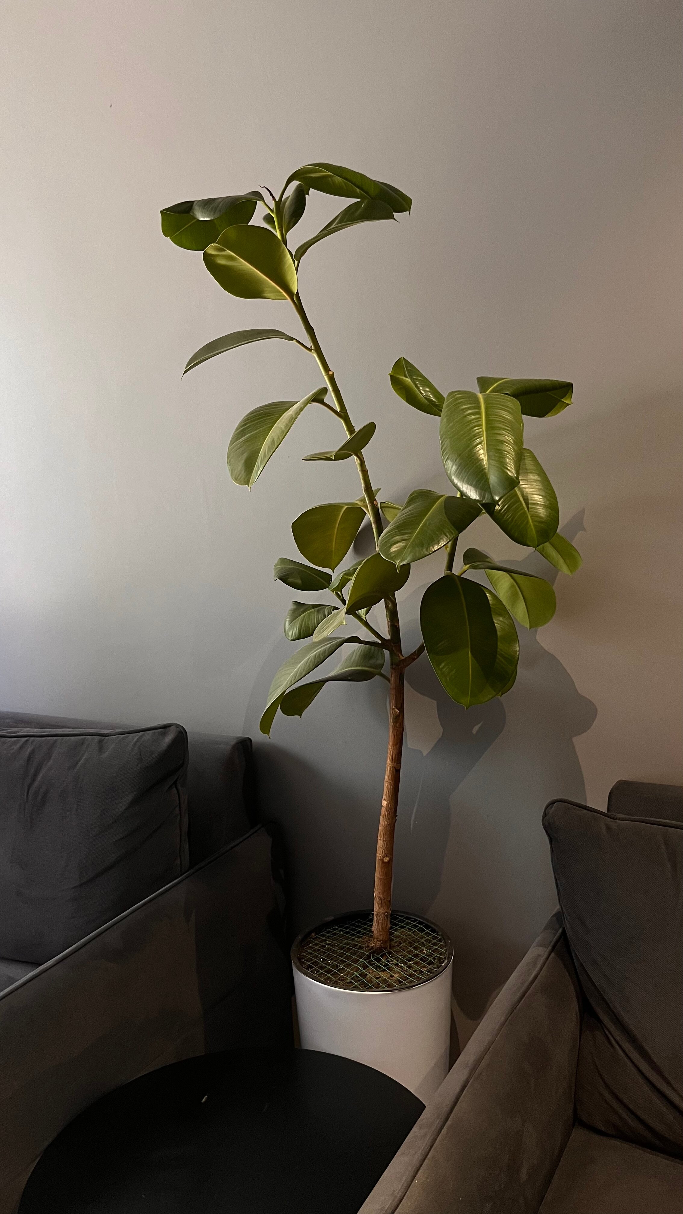 Фото Sapiens Hotel