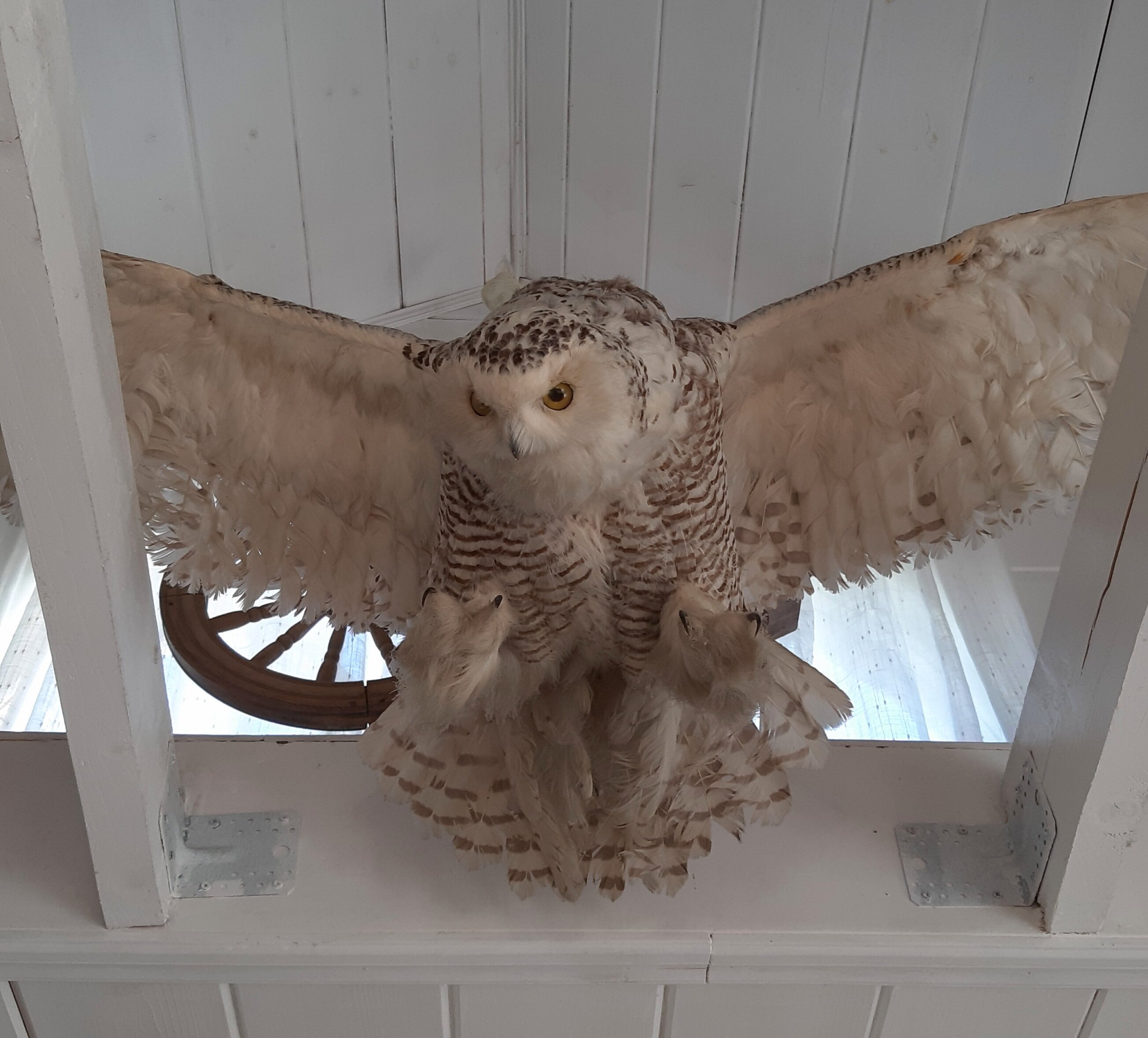 Фото На Валах