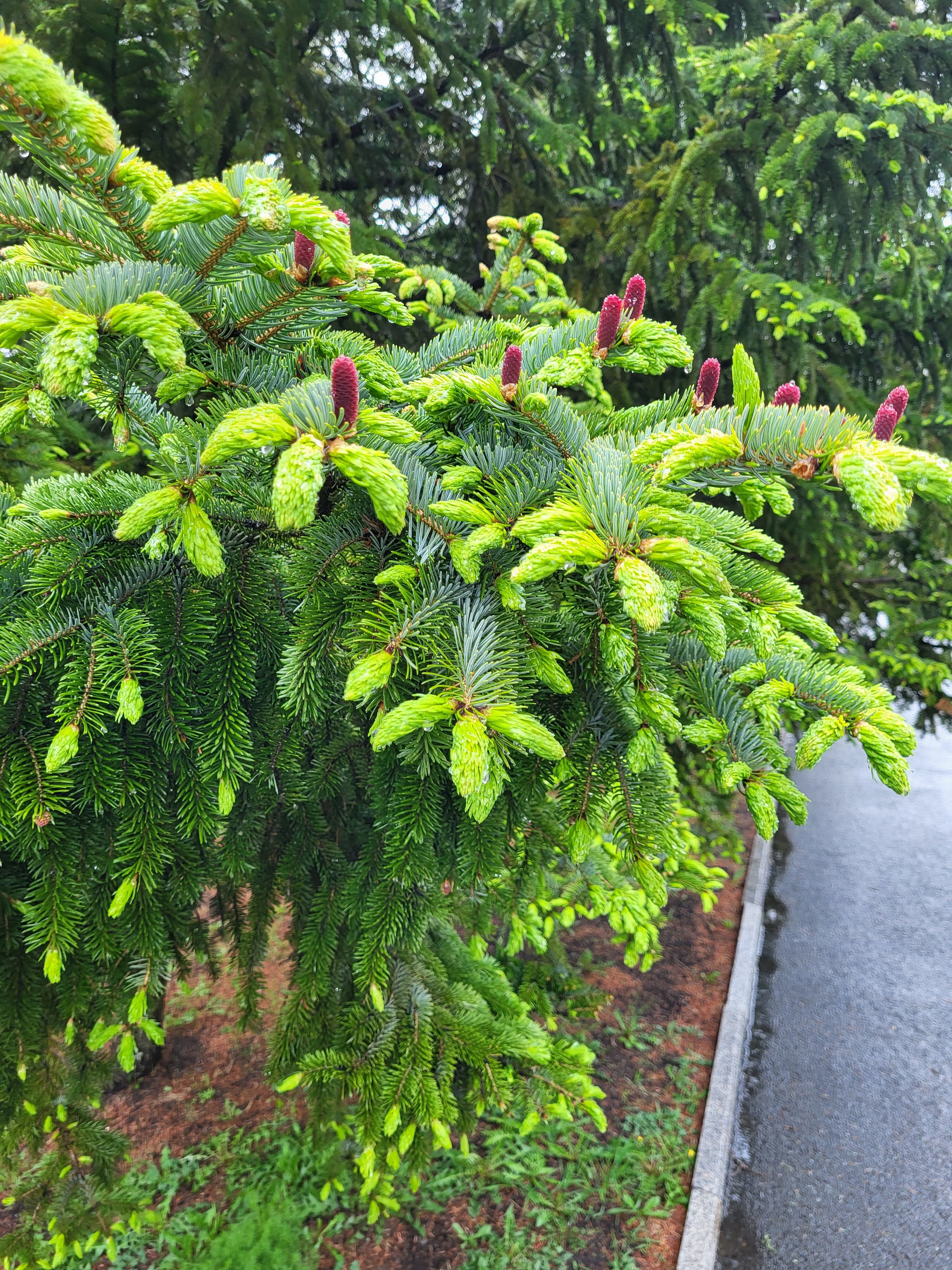 Фото Роял Парк Отель