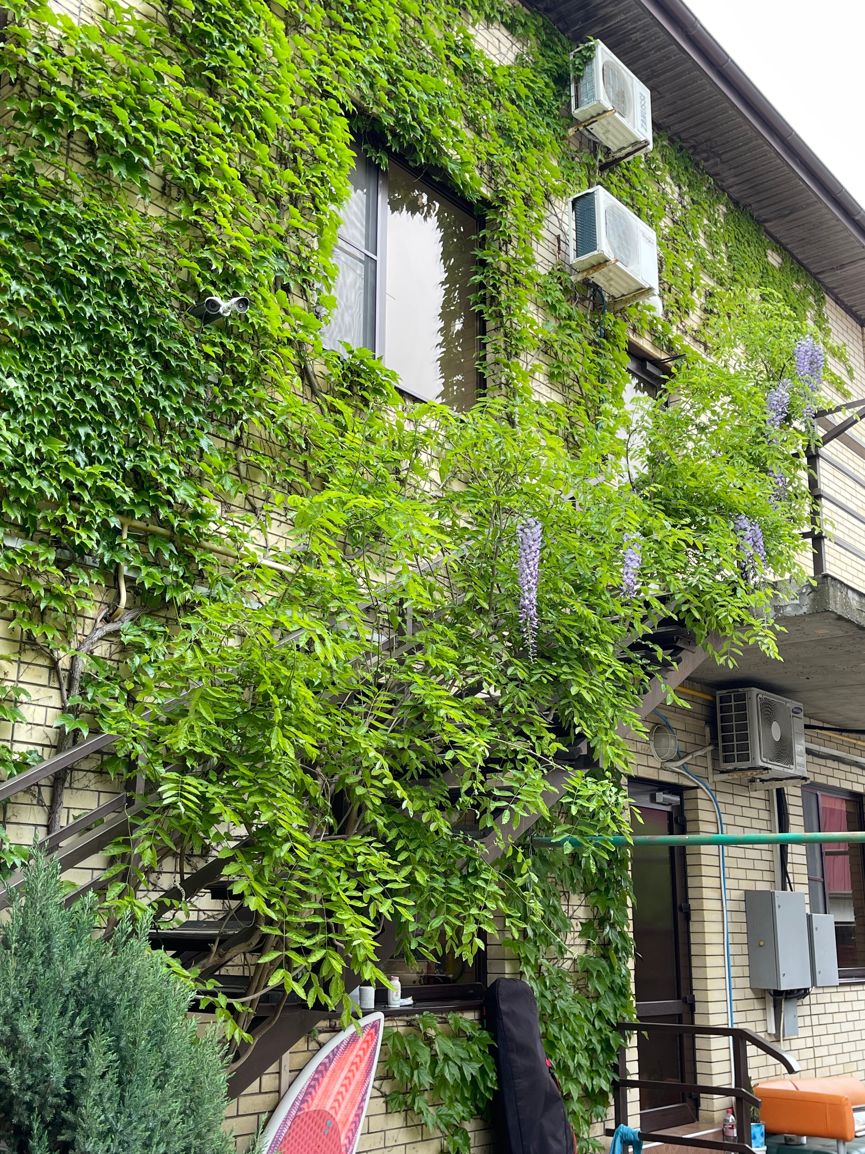 Фото Анисья