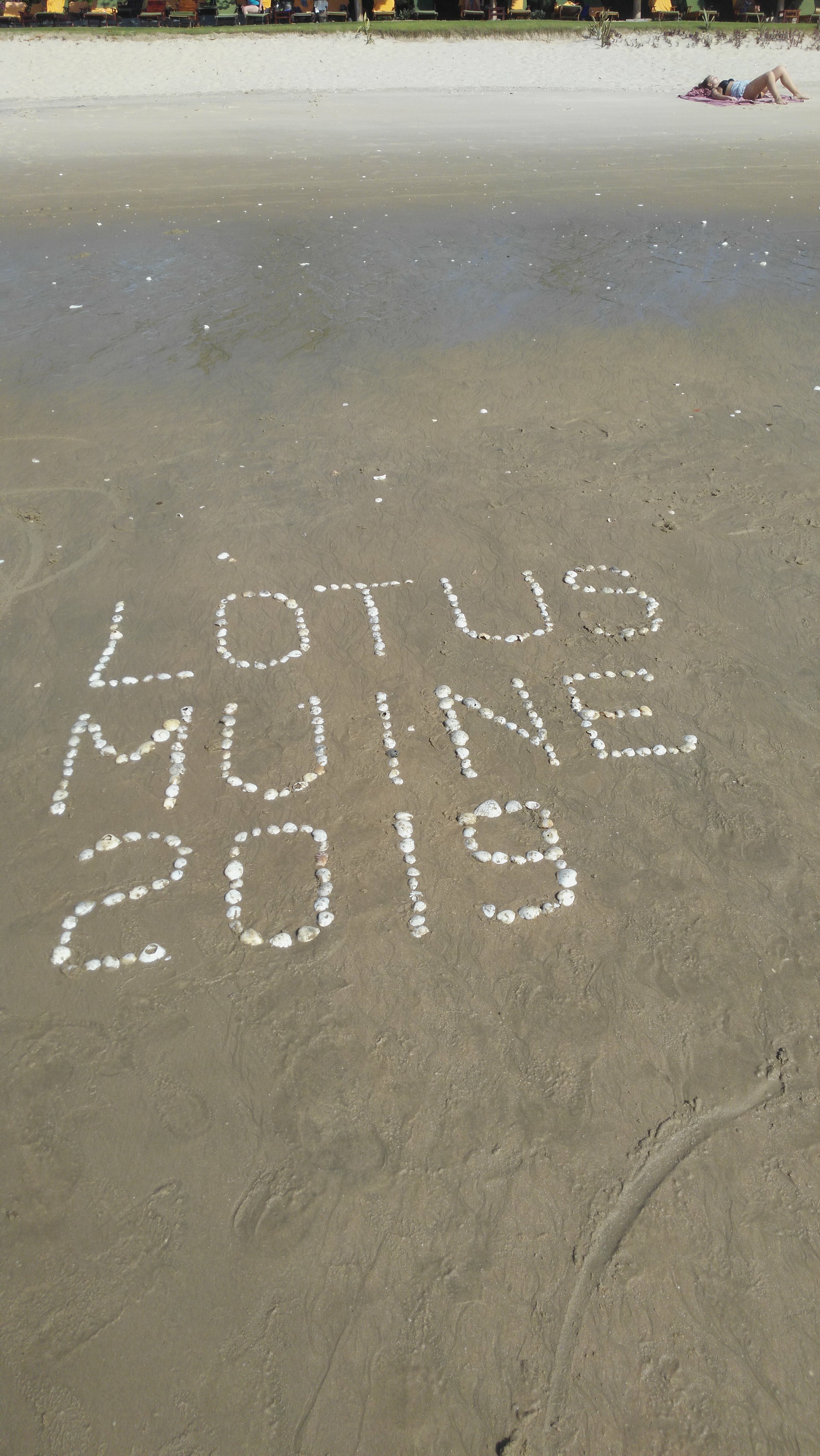 Фото Lotus Muine Beach Resort & SPA