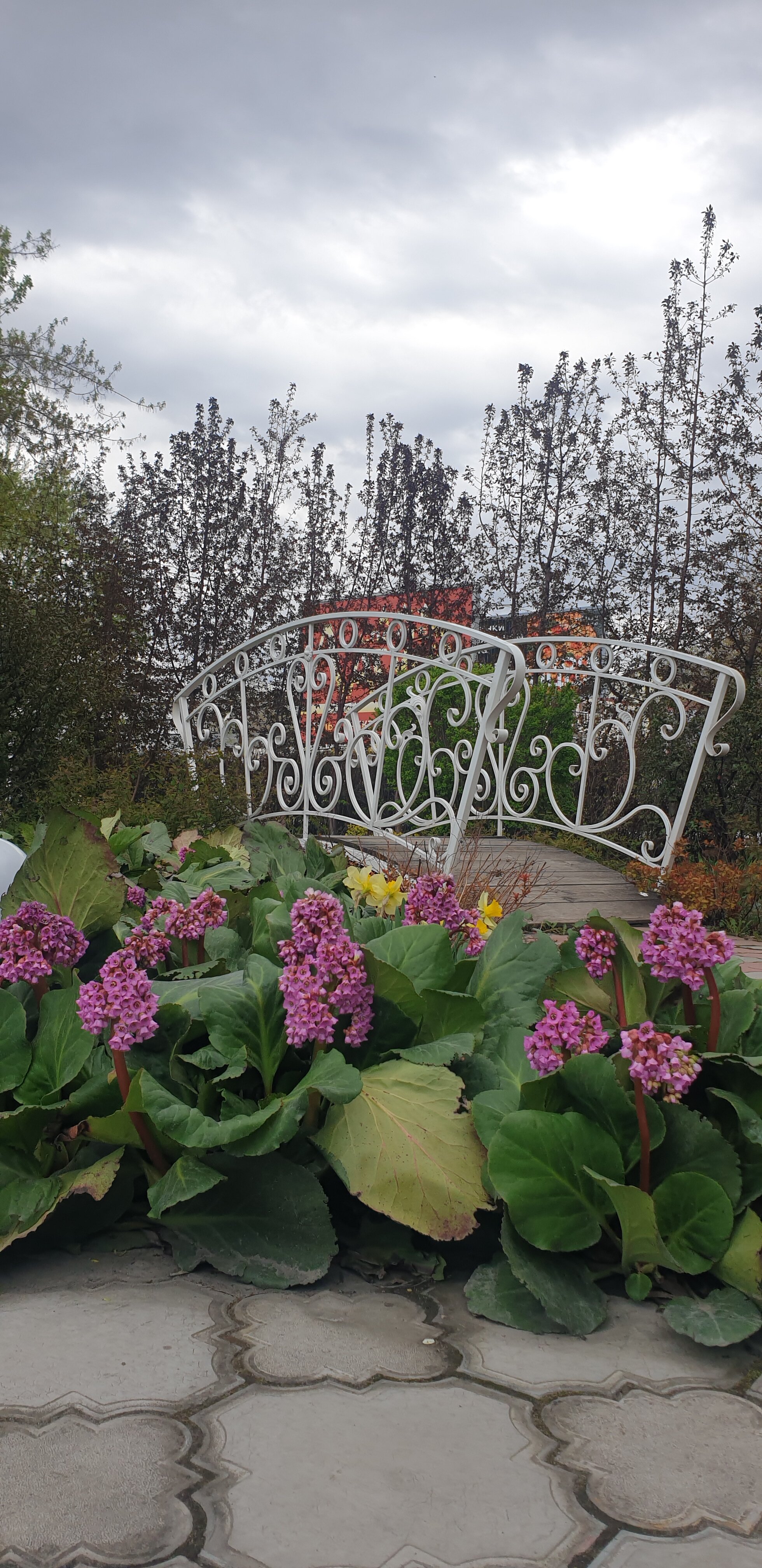 Фото Лагуна