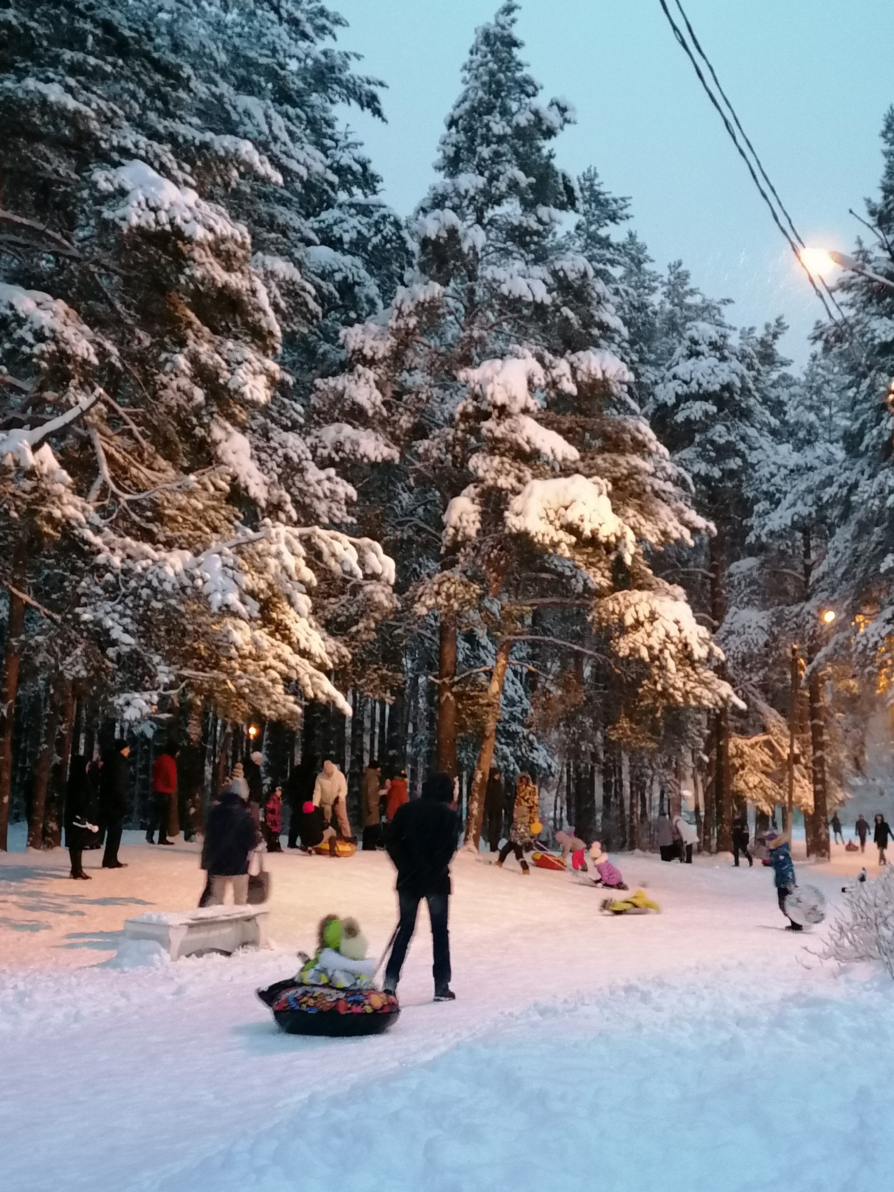 Фото Бобачёвская роща