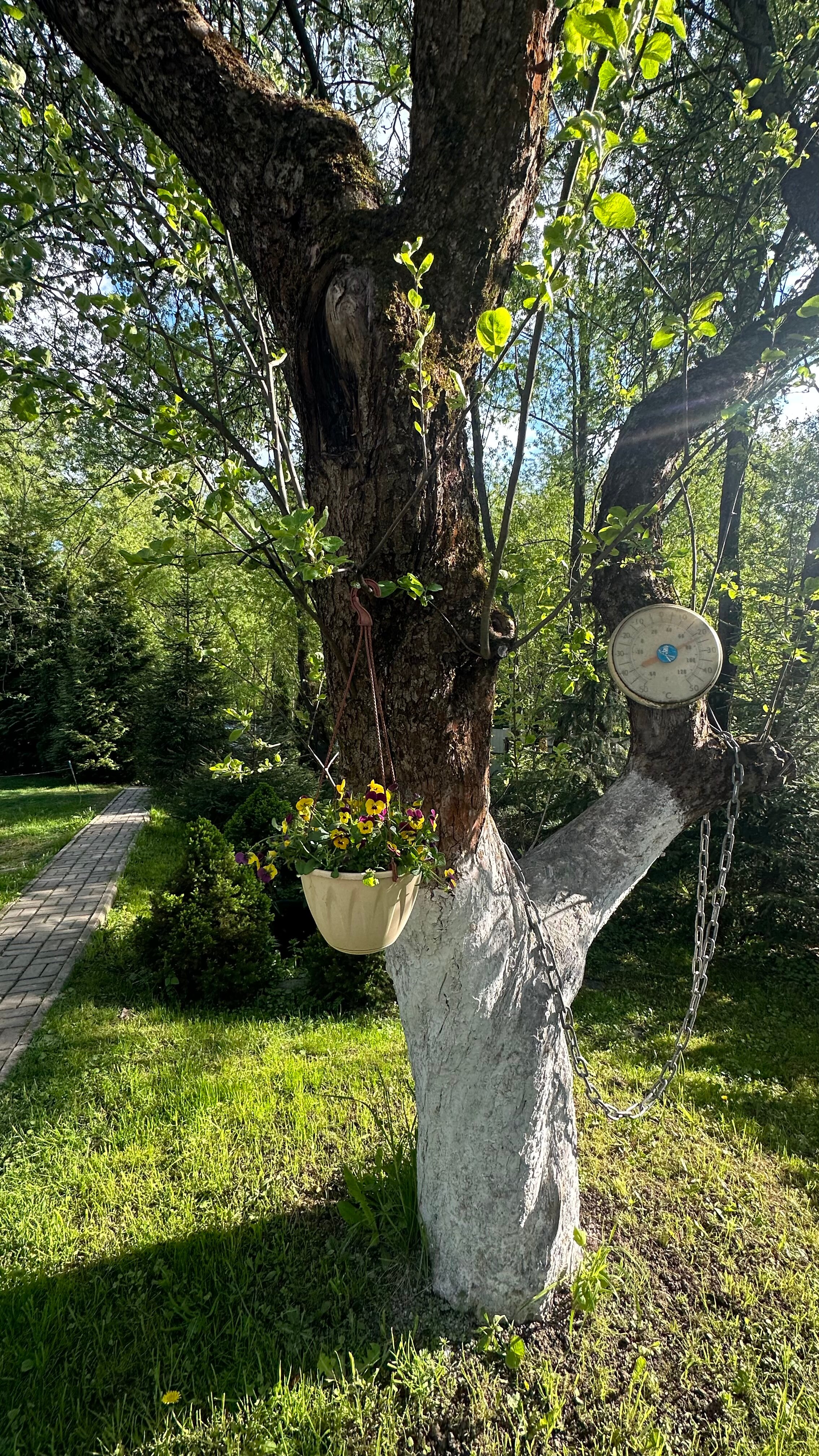 Фото Дача в Переделкино