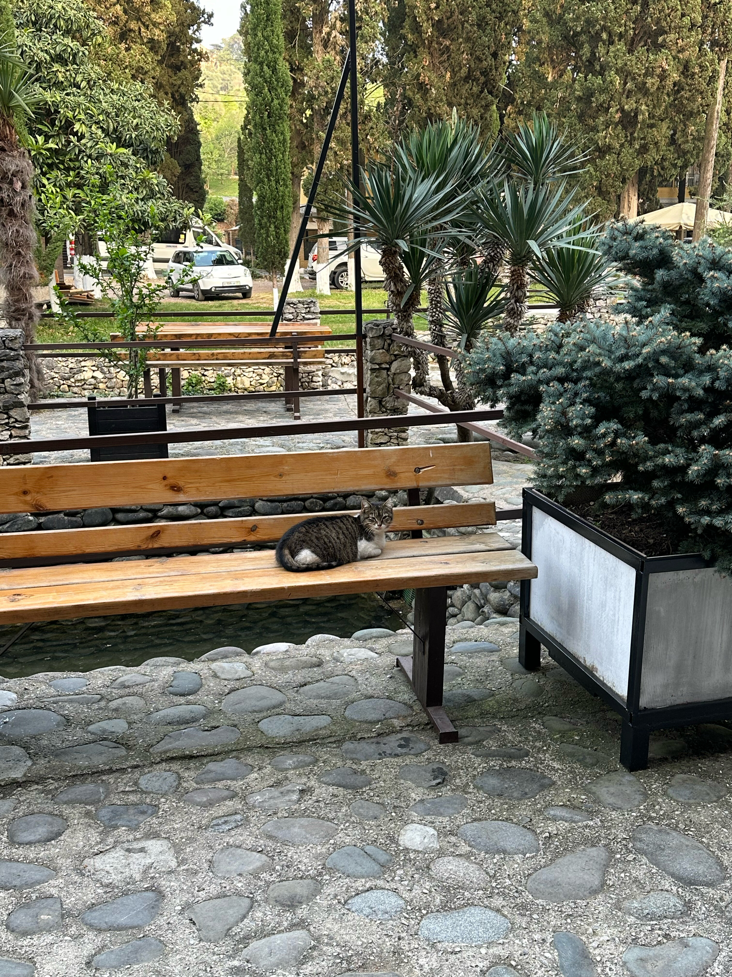 Фото Отель Грифон