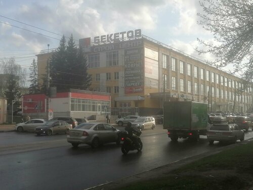 Gozallik mushukining fotosurati