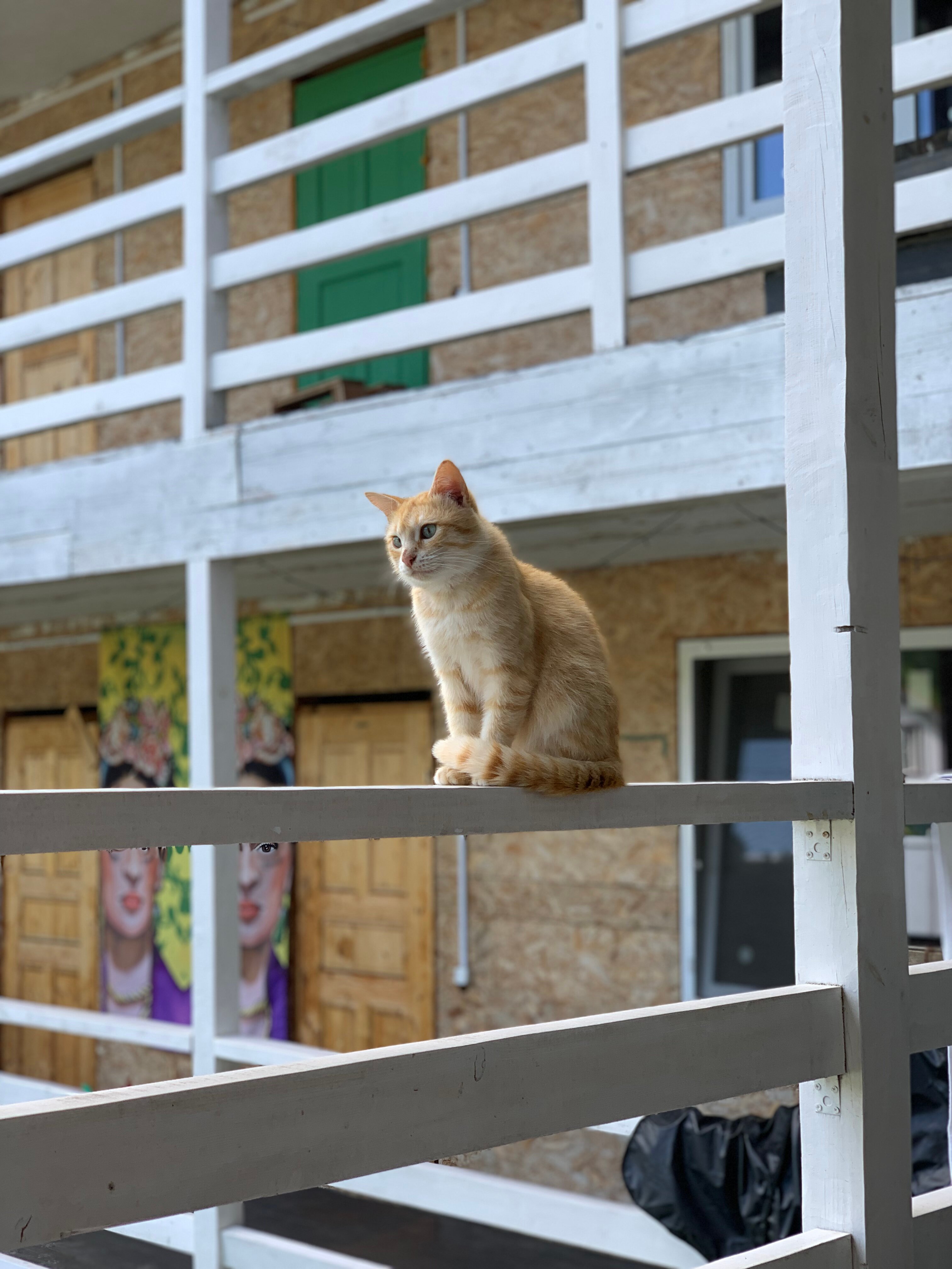 Фото Дедеркой мой рай