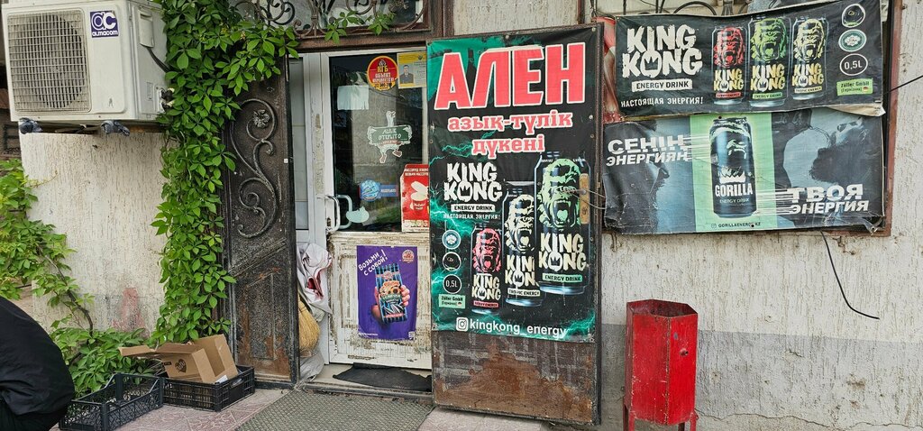 Grocery Alen, Chimkent, photo